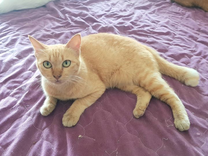 อากาศร้อน นอนศาล ชักงานเข้า 1