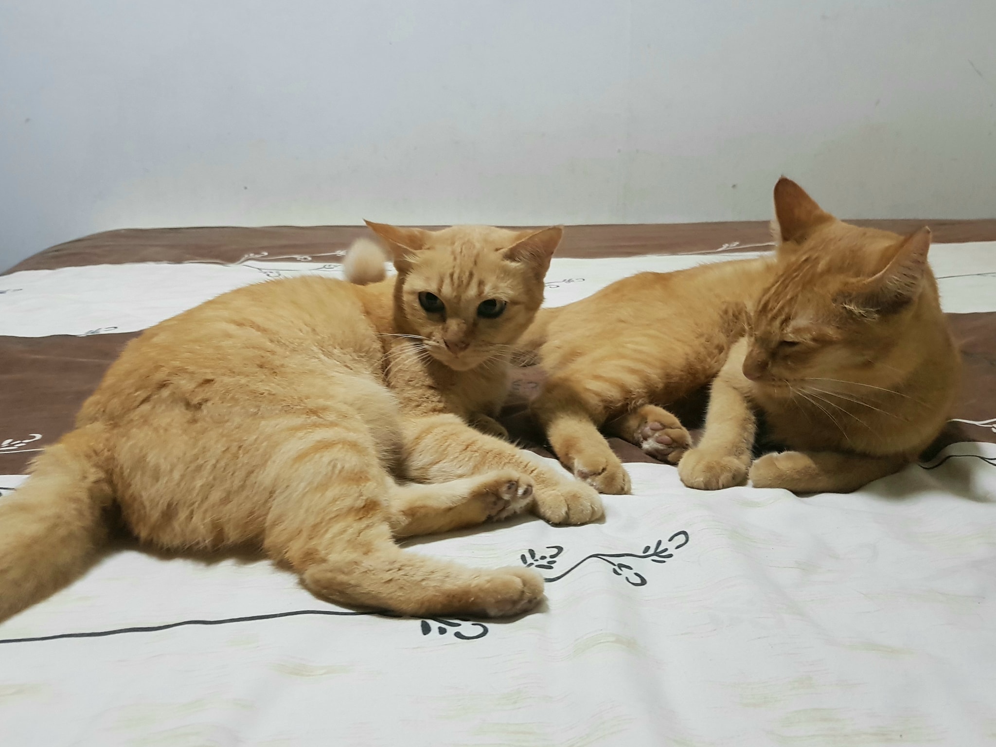 อย่าฟังคน บ่นมา แล้วด่าหนู 1