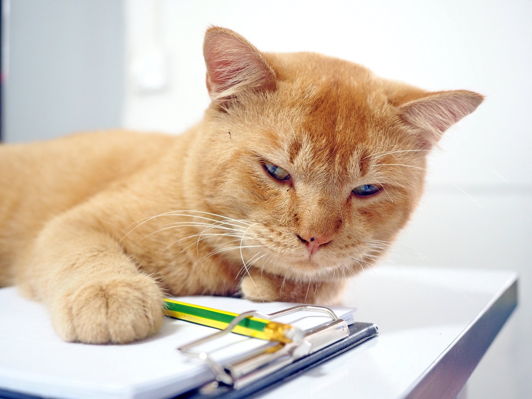 #ประกวดแต่งกลอน 1