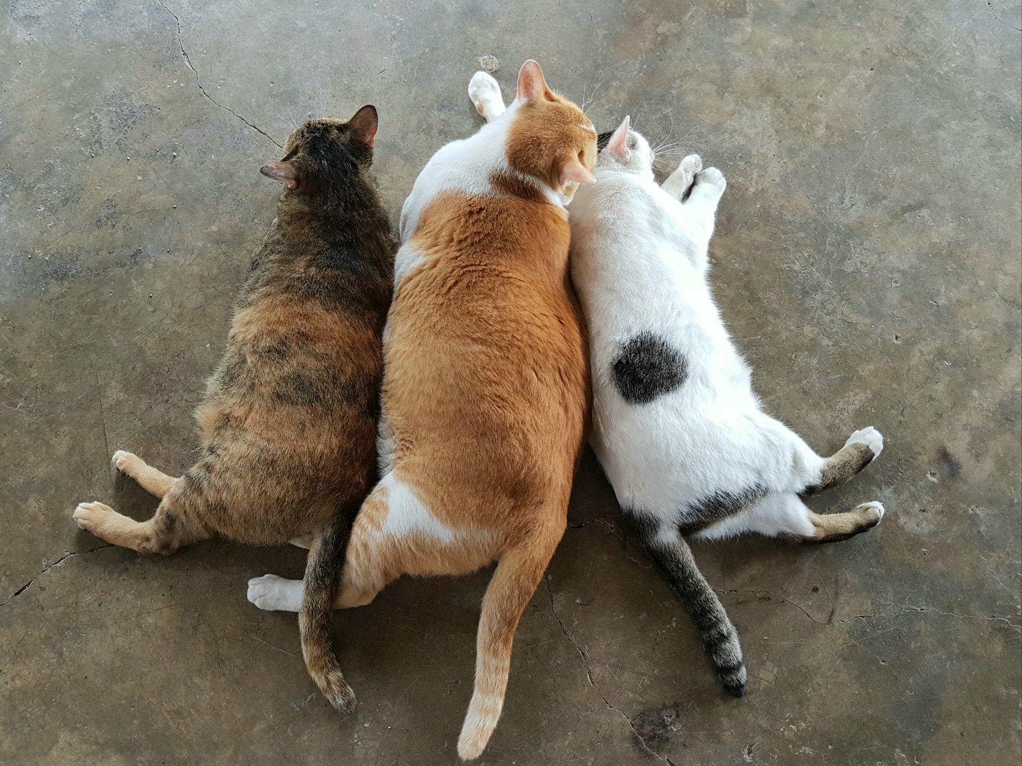 ไฟมาดับ อับจน ต้องทนร้อน 2