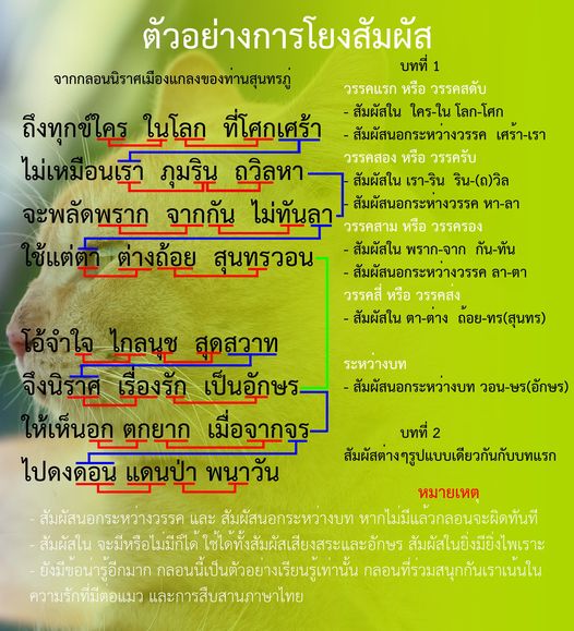 แฟน ๆ เริ่มส่งกลอนแมวกันมาประกวดแล้วนะครับ รูปแมวน่ารักทั้งนั้นเลย กลอนนั้นหลายท 1