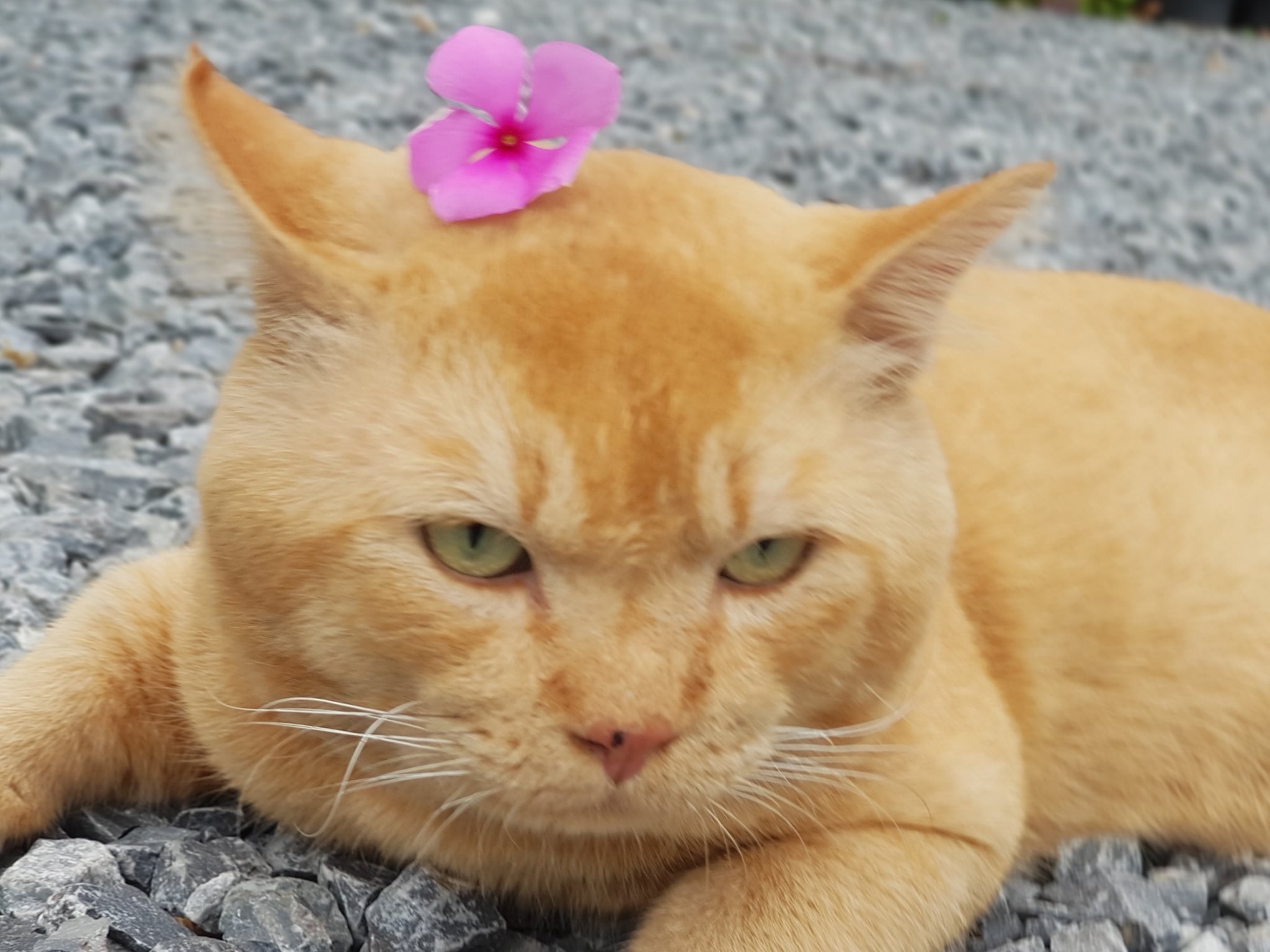 ว่าเราแก่ แย่เกิน จะเดินหนี 2