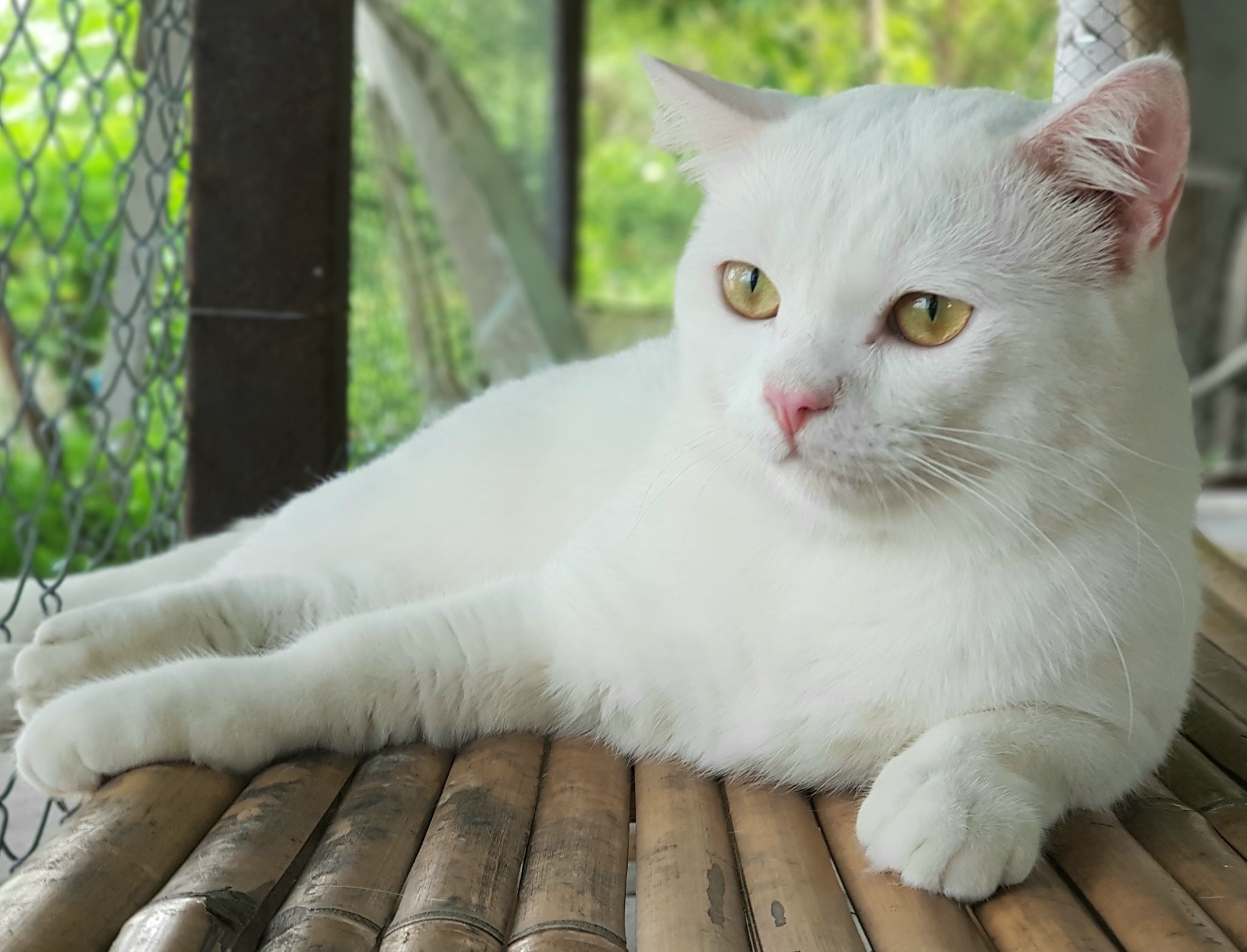 ดันตื่นนอน ตอนเย็น มิเป็นท่า 3