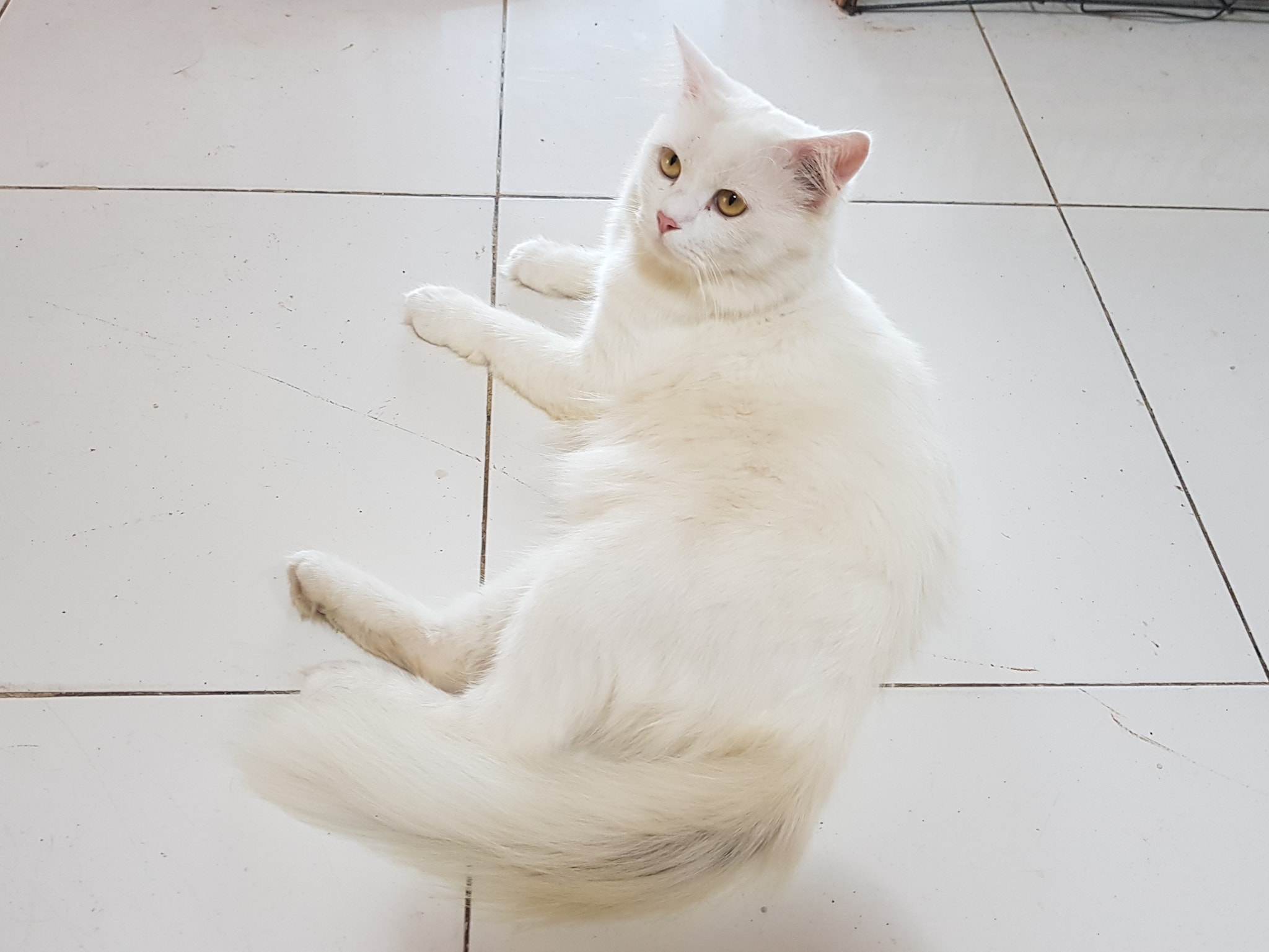 เราตั้งกลุ่ม หนุ่มคล้ำ คงขำขัน 2