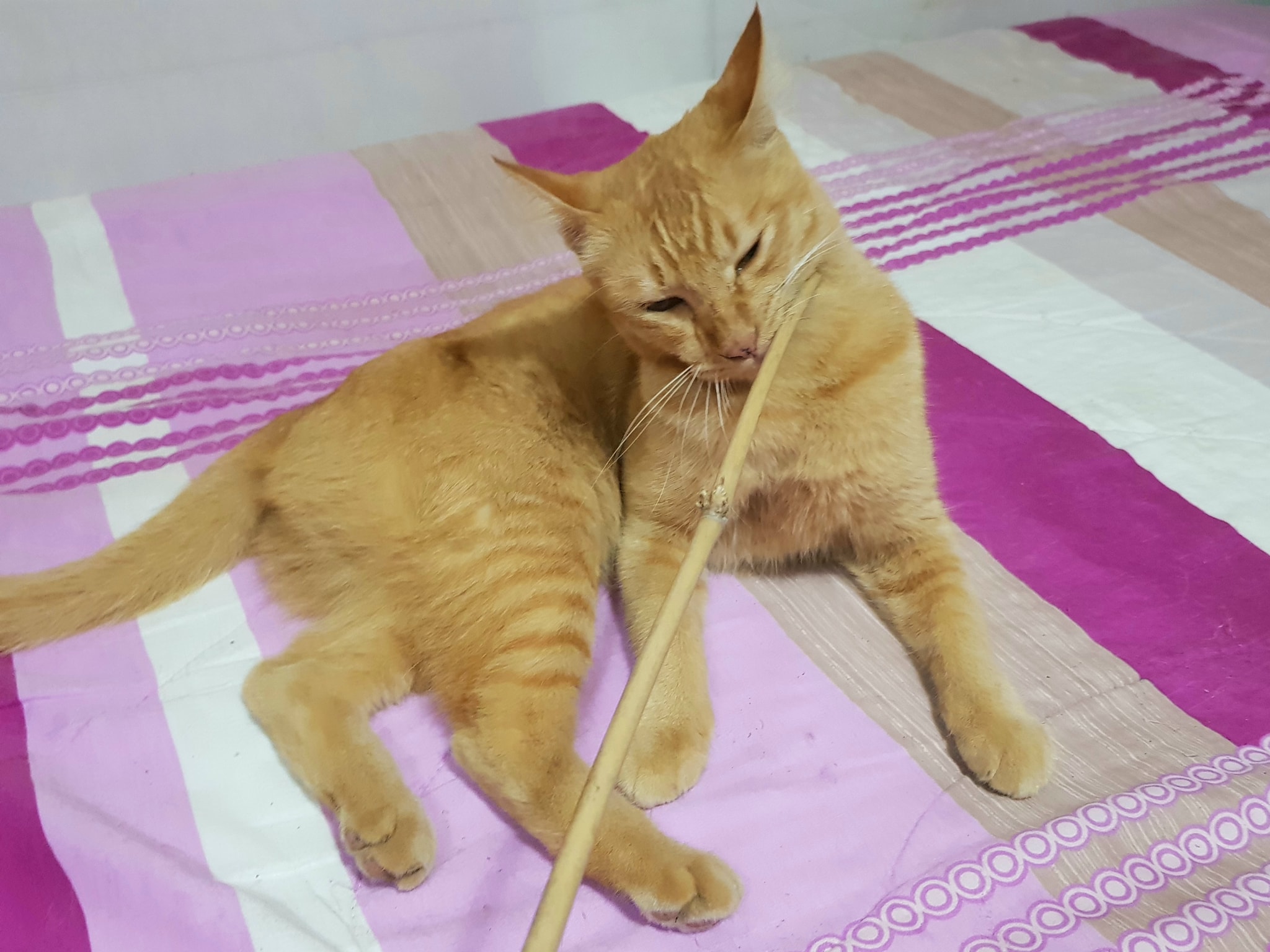 ออกหากบ หลบซุ่ม ถึงทุ่มกว่า 2