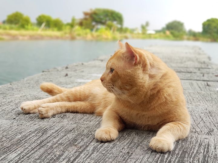 ผลการประกวดกลอนยังไม่เรียบร้อยดีนะครับ ต้องขออภัยทุกท่านที่ล่าช้า เนื่องมีรายละเ 1