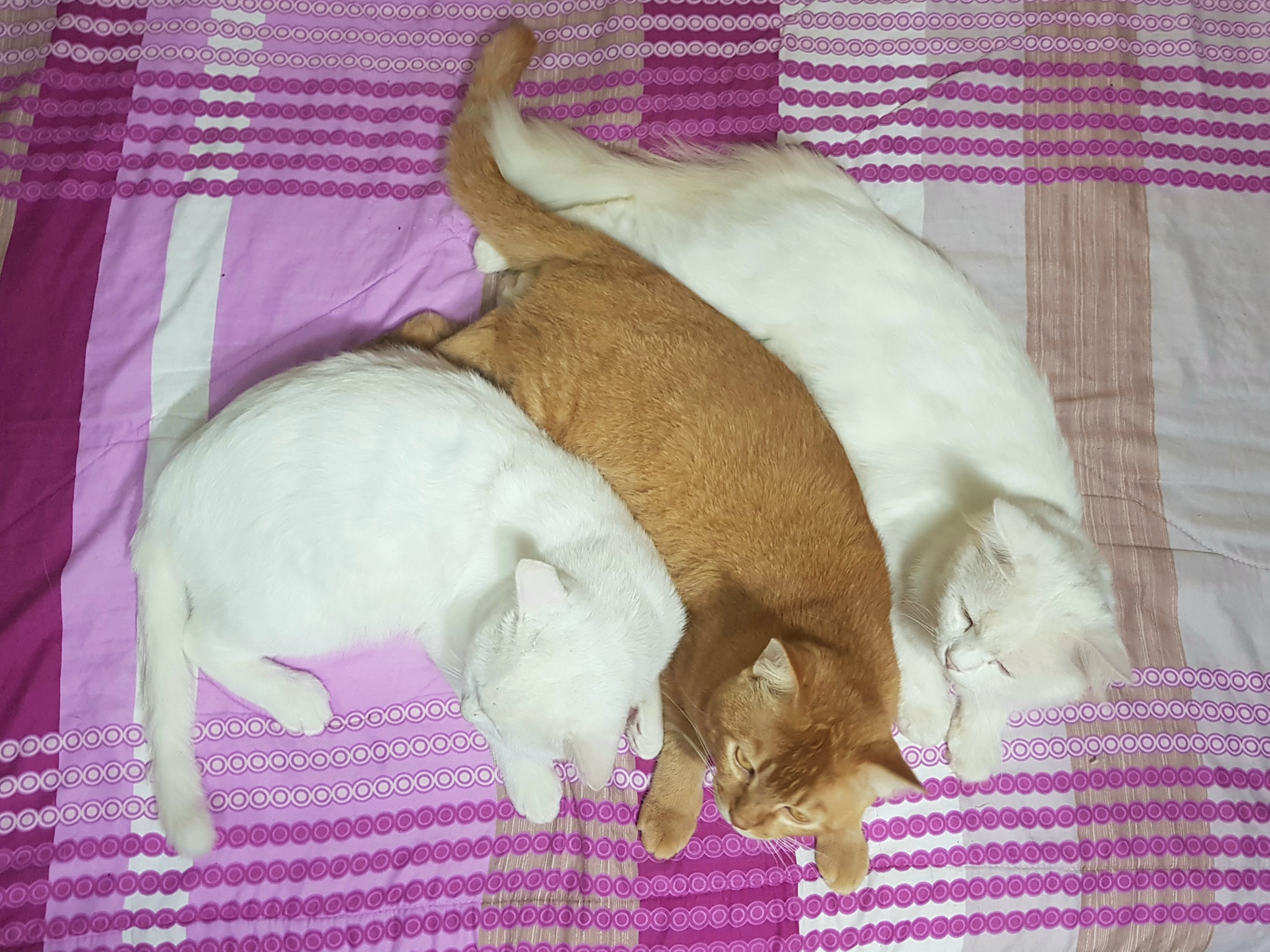 ฝนกระหน่ำ ทำพื้น จนชื้นแฉะ 4