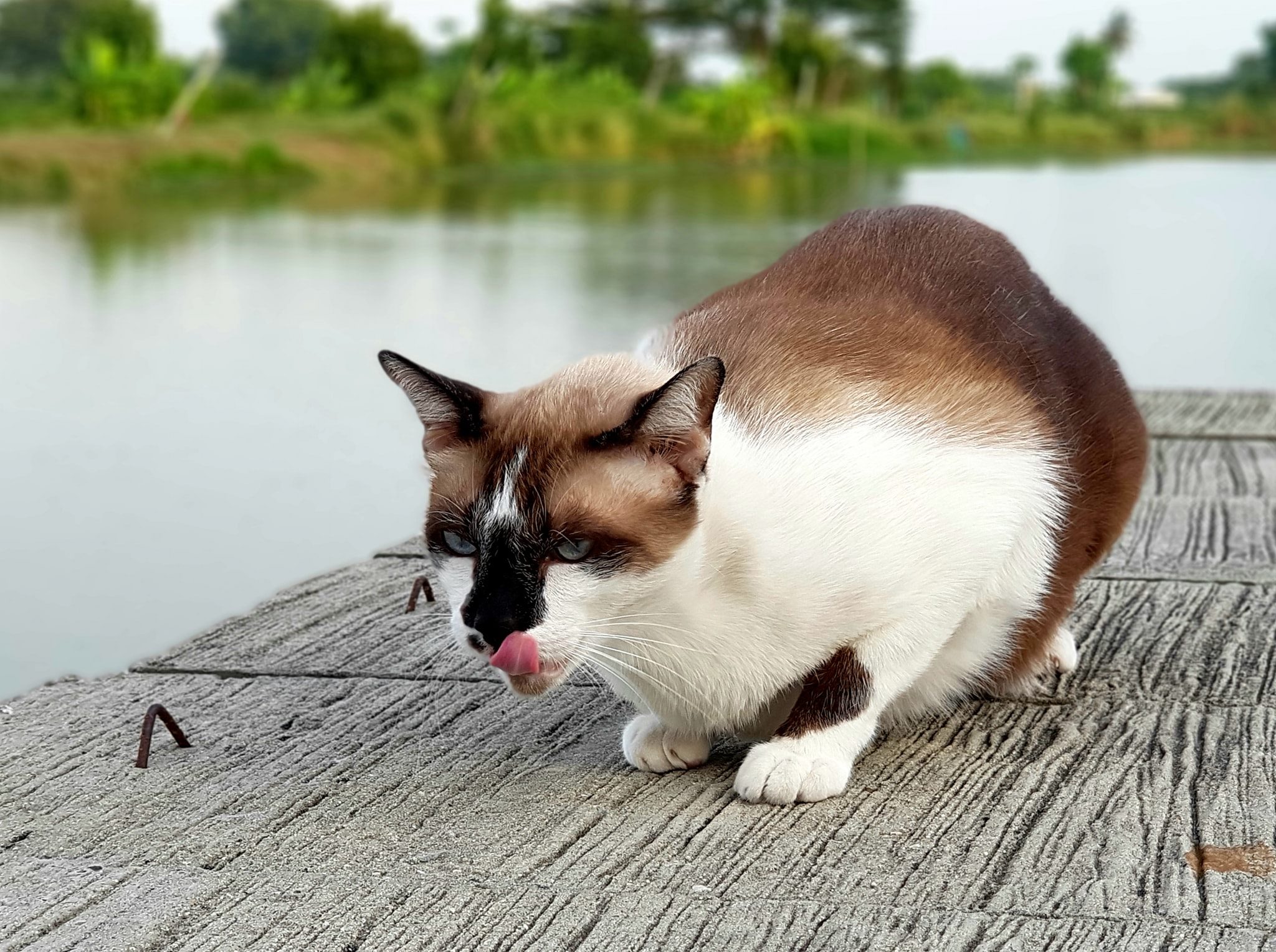 เห็นเรือคล้อย ลอยหาย จากชายท่า 3