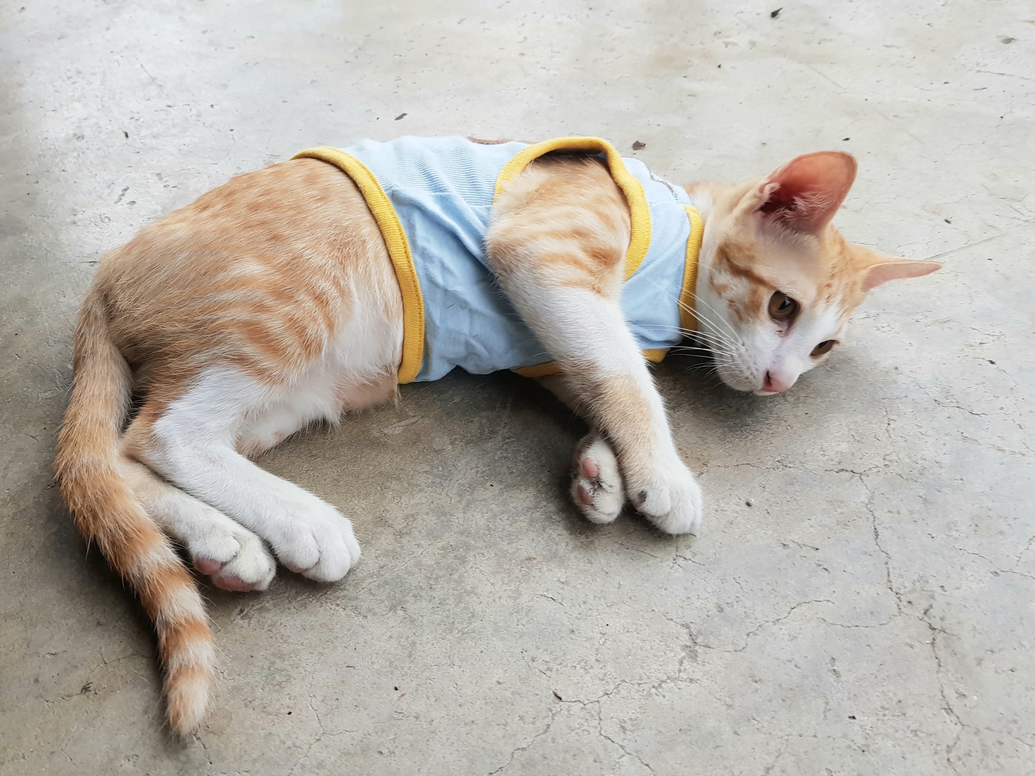 ใส่เอวลอย พลอยแย่ ไม่แก้หนาว 3
