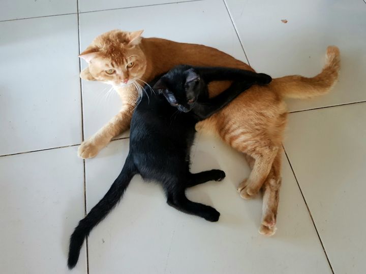 ประตูปิด ติดกลอน คอยนอนจ้อง 1