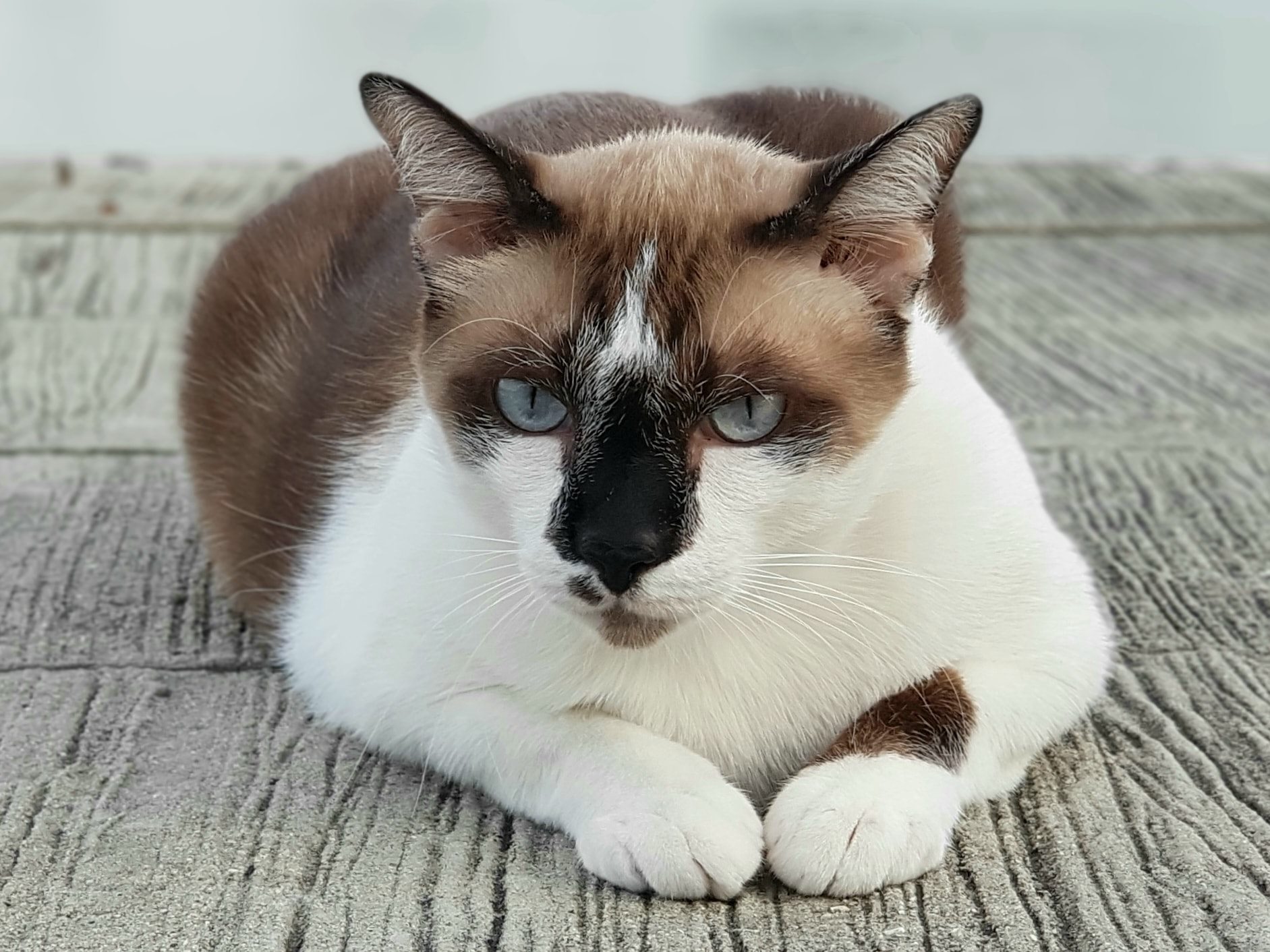 เห็นเรือคล้อย ลอยหาย จากชายท่า 4