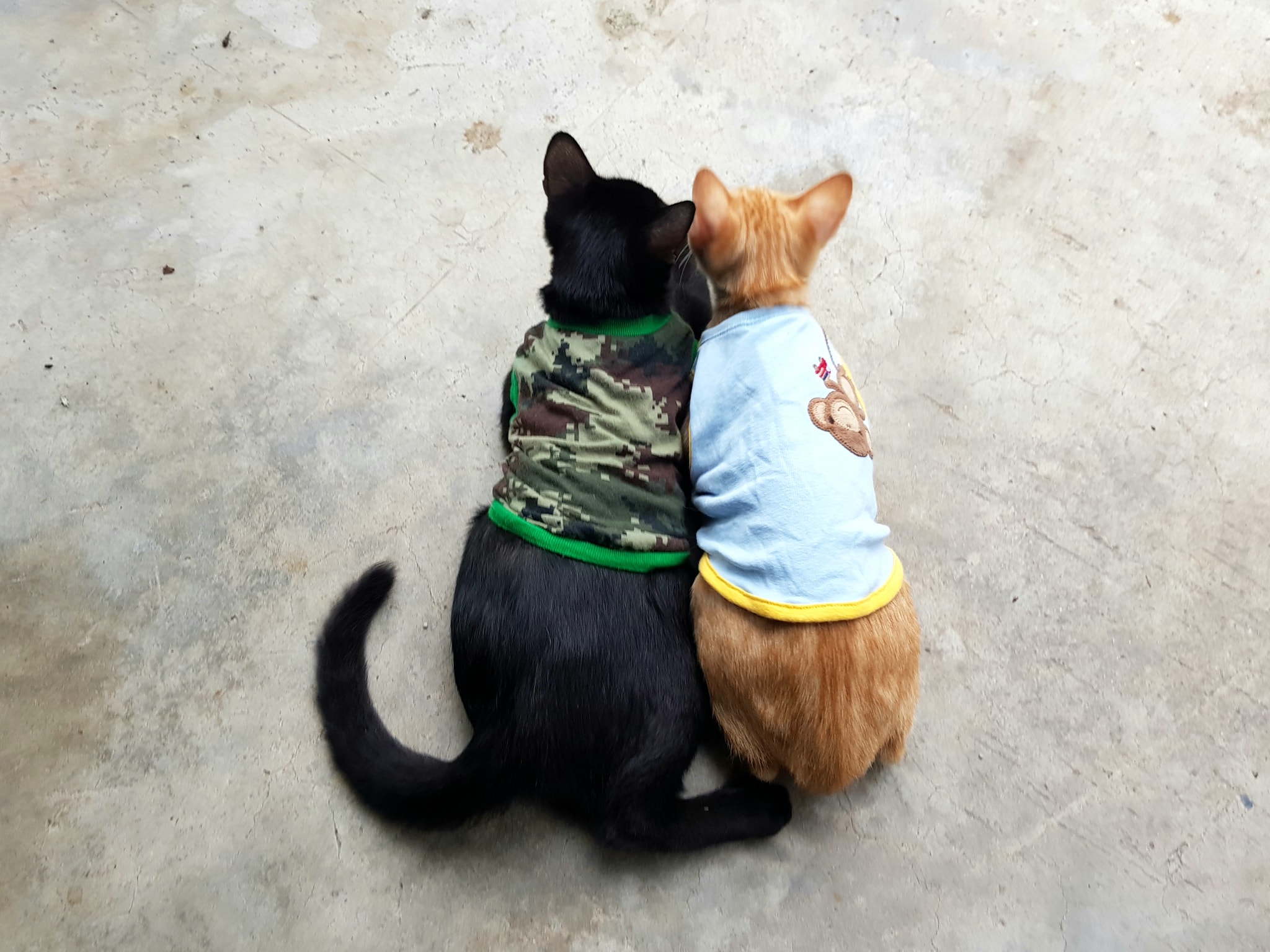 ใส่เอวลอย พลอยแย่ ไม่แก้หนาว 1