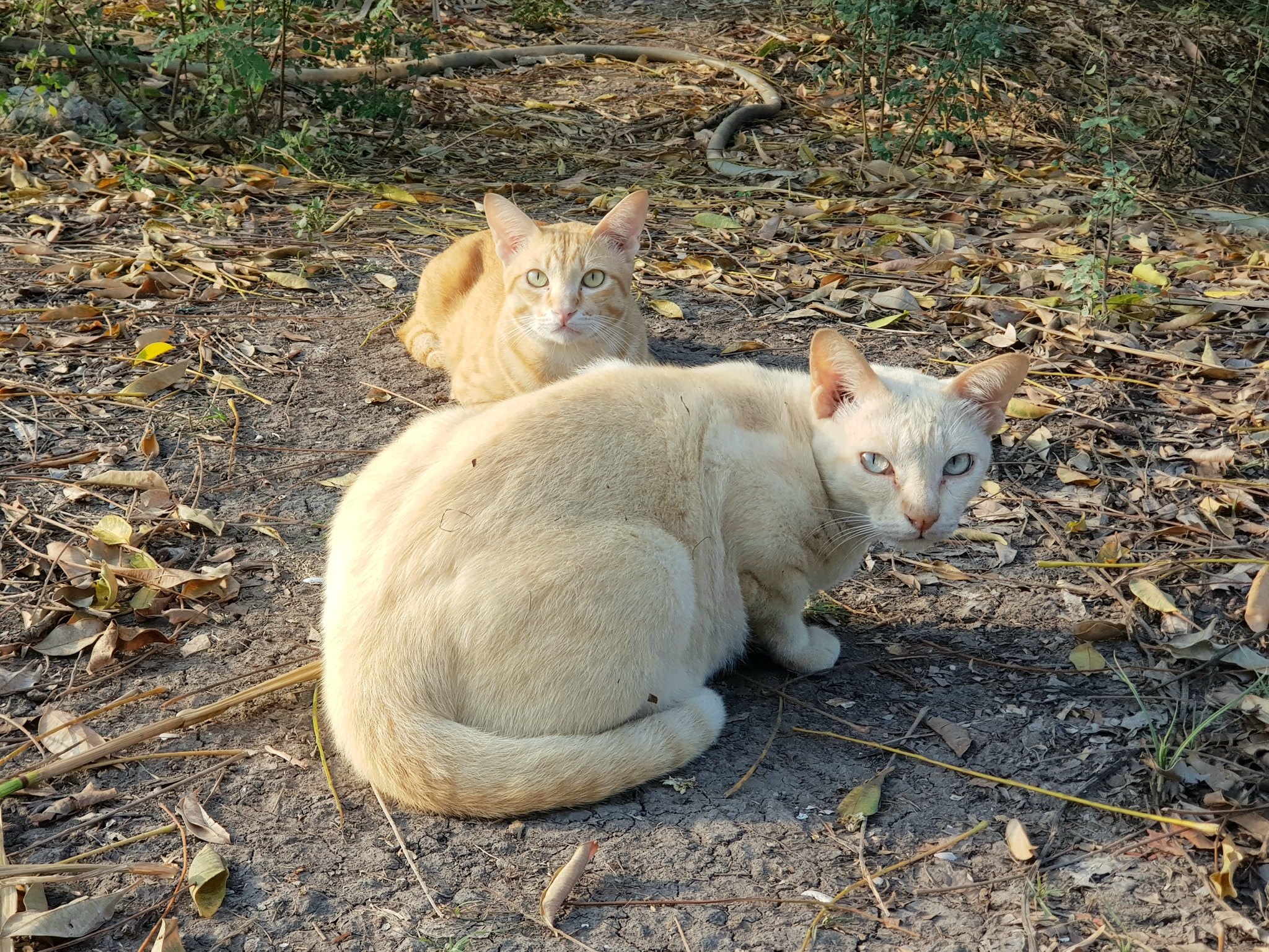 อากาศลด สดชื่น รีบตื่นก่อน 2