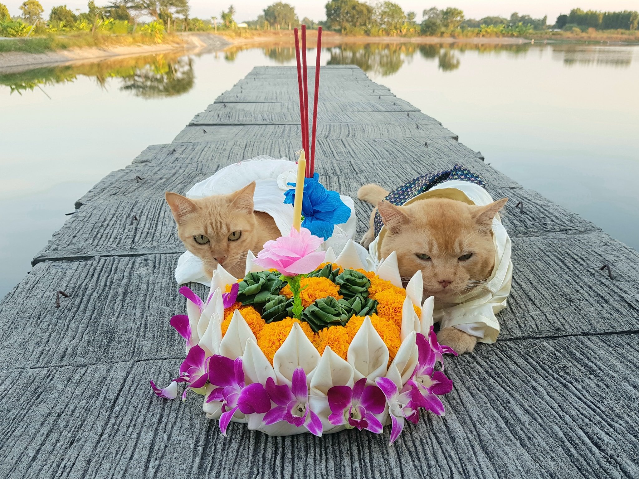 ลอยกระทง คงคา ขมาโทษ 1