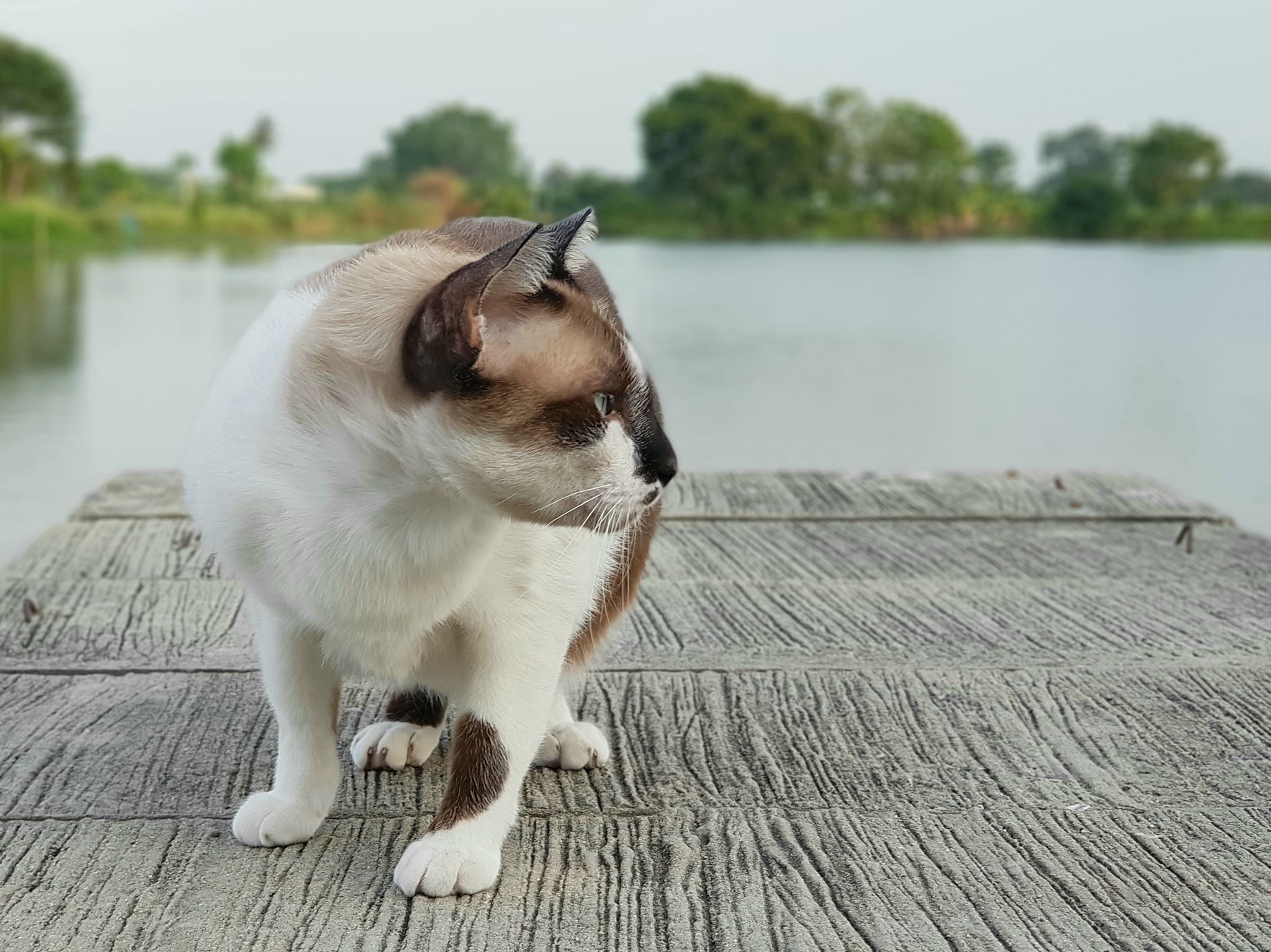 เห็นเรือคล้อย ลอยหาย จากชายท่า 2