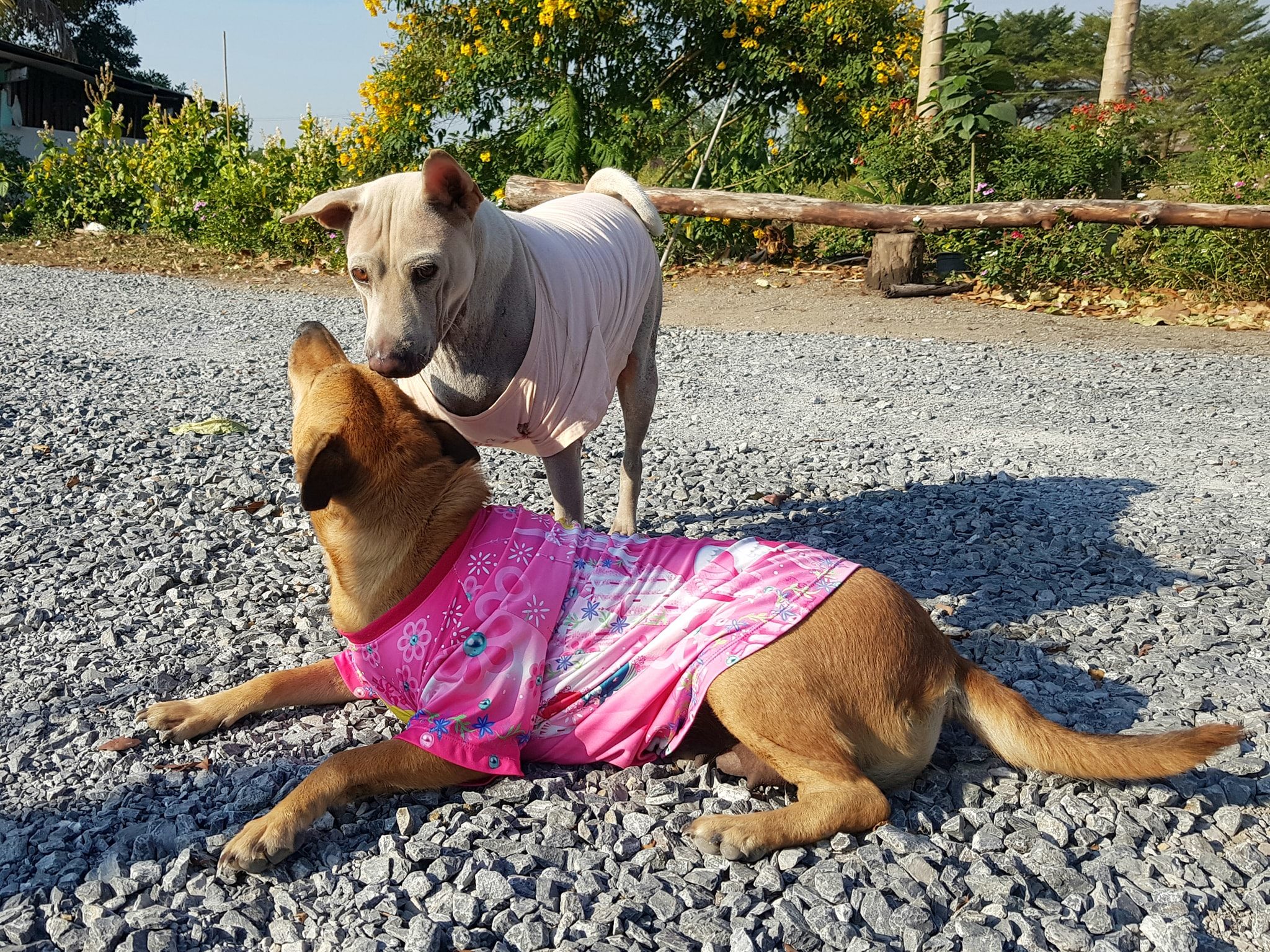 อยู่บ้านนอก คอกนา ช่วงหน้าหนาว 3