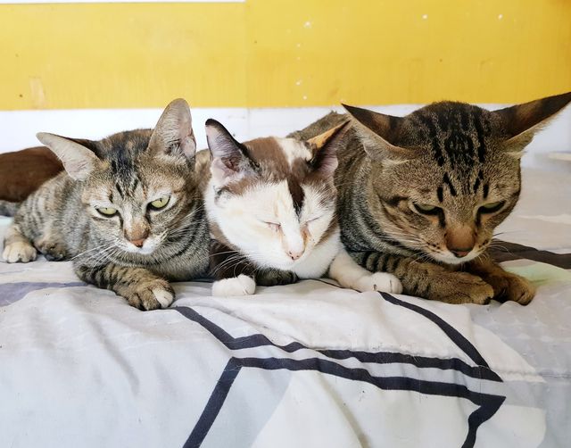 อยู่ตามดง พงป่า ตอนหน้าหนาว 1