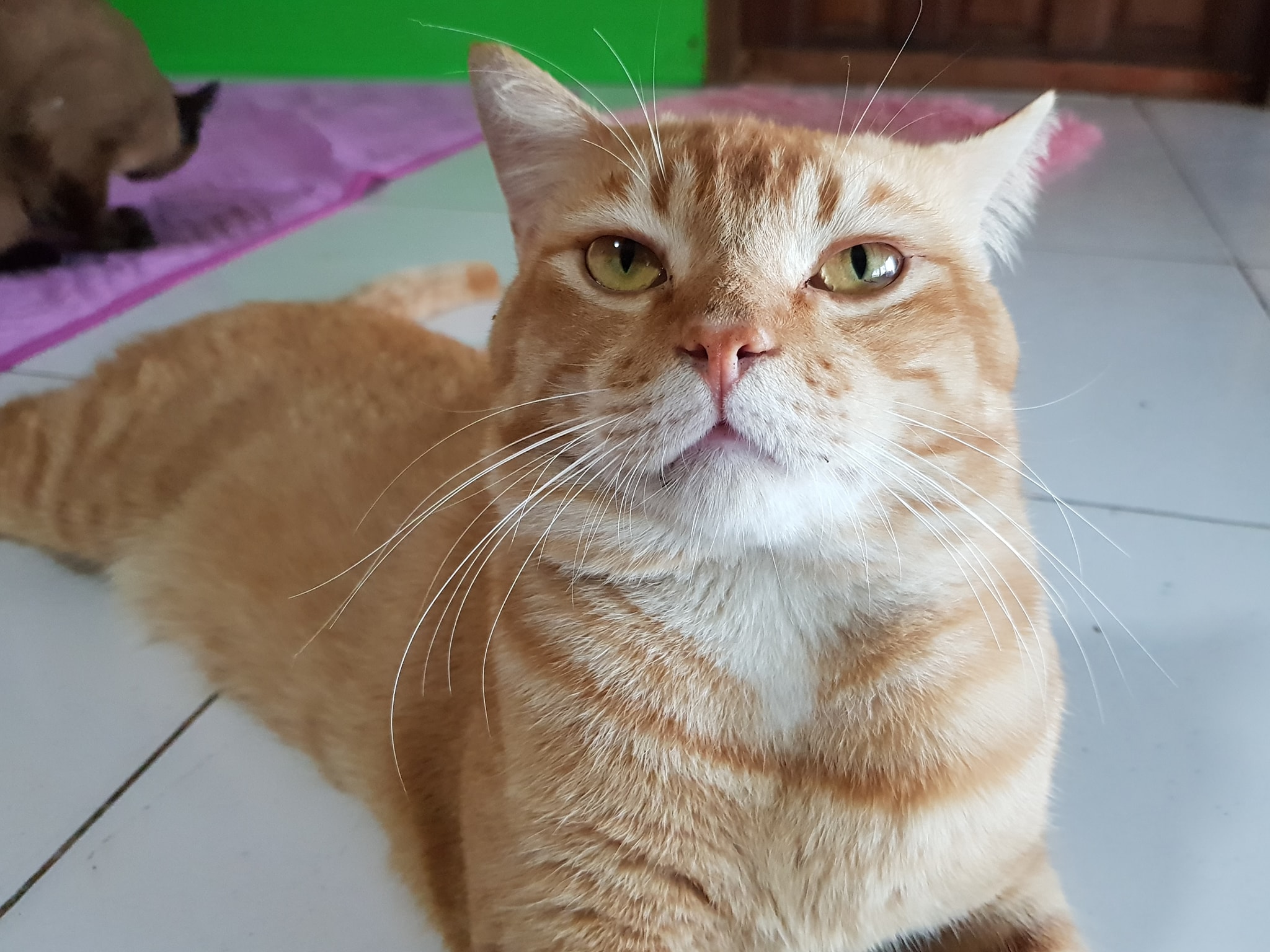 บ้านก็ปิด ผิดท่า มันน่าเศร้า 1