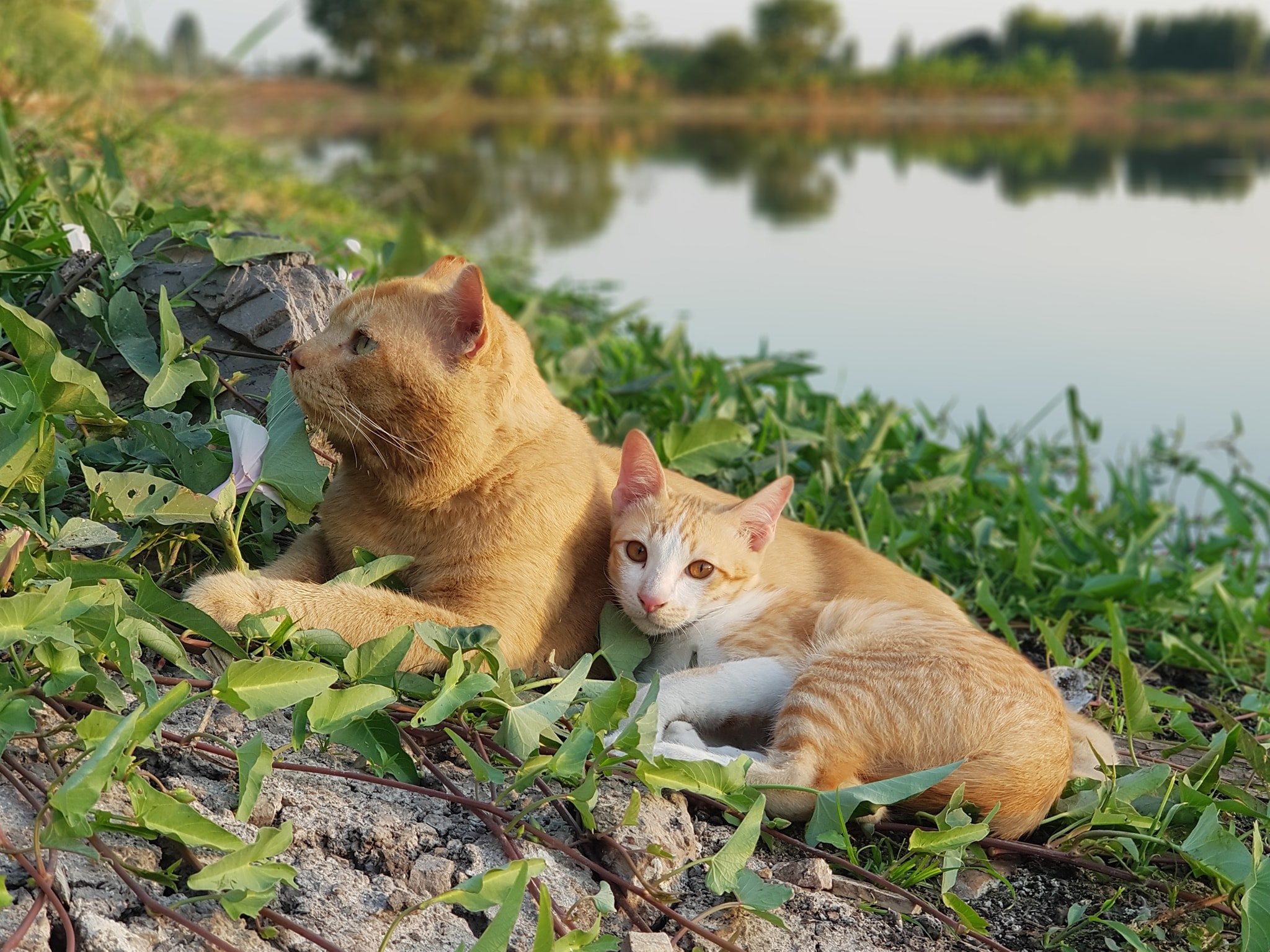 หนูอยากล่อง ท่องทุ่ง เผื่อลุงว่าง 2
