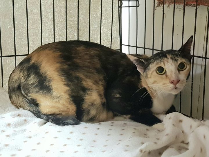 อัปเดต #สมศรี หน่อยครับ 1