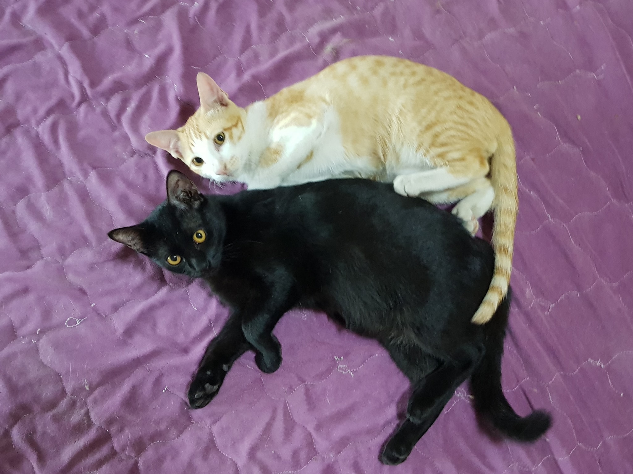 บ้านก็ปิด ผิดท่า มันน่าเศร้า 5