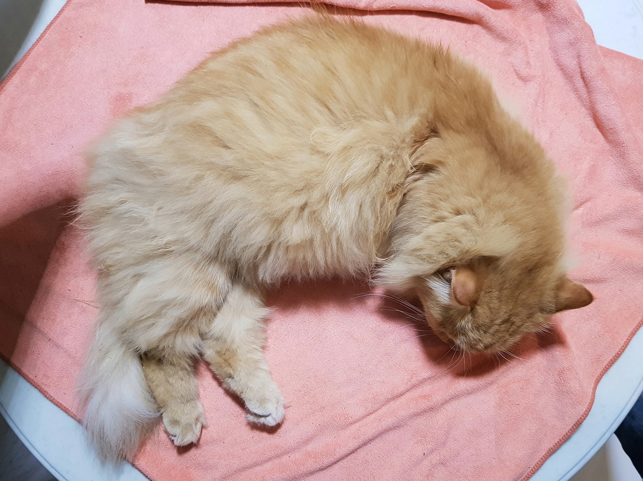 บ้านก็ปิด ผิดท่า มันน่าเศร้า 3