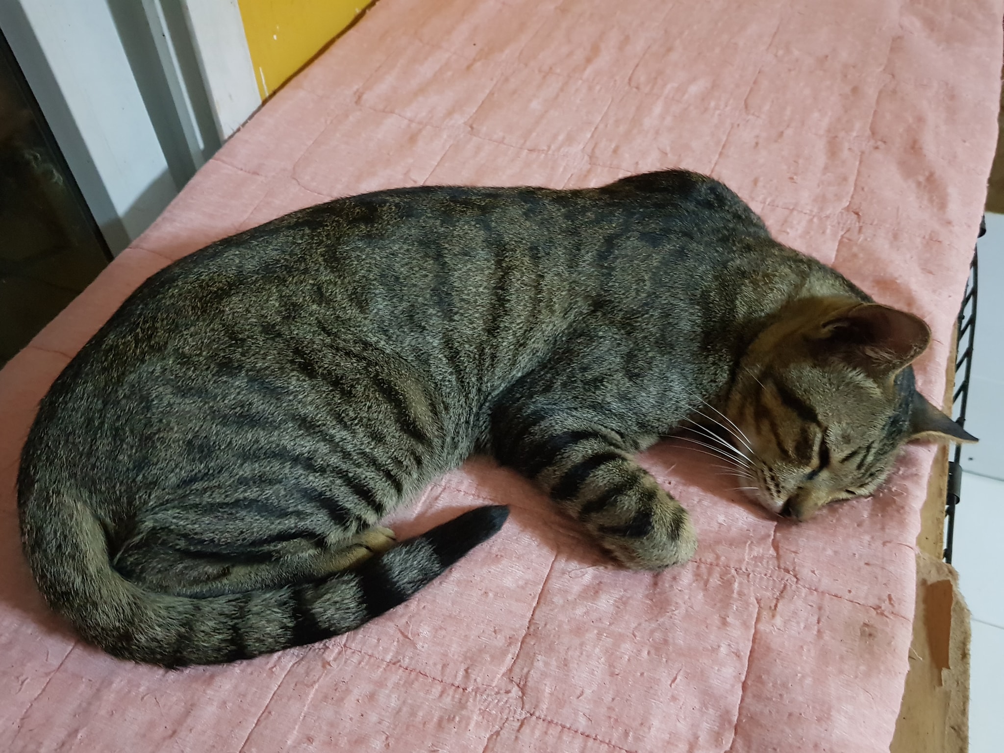 บ้านก็ปิด ผิดท่า มันน่าเศร้า 2