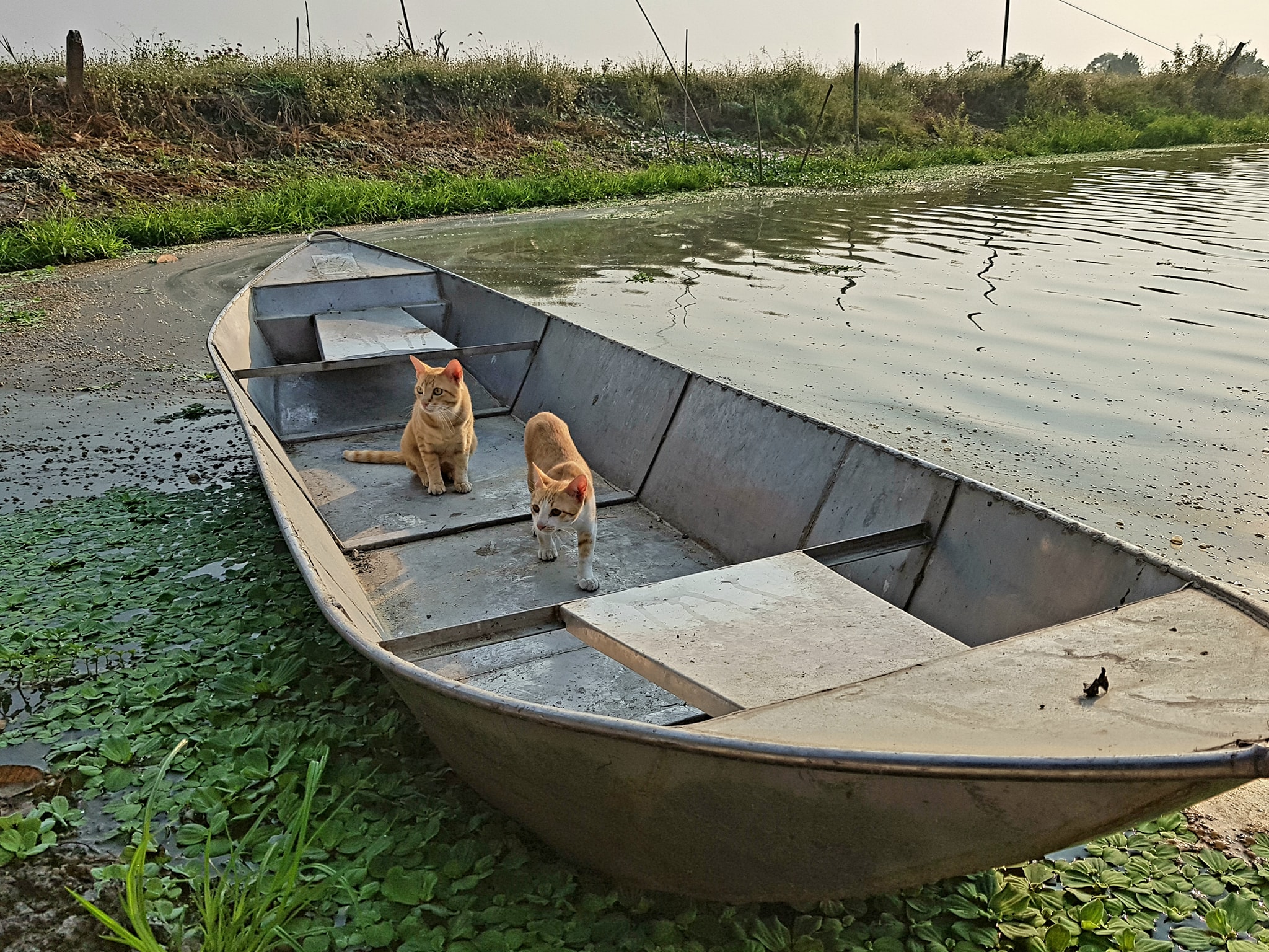 เห็นเรือยอชต์ จอดว่าง มันช่างเหมาะ 2