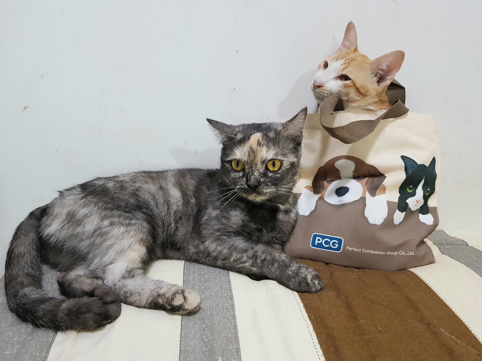 พลาสติก ต้องลด และงดขาด 1