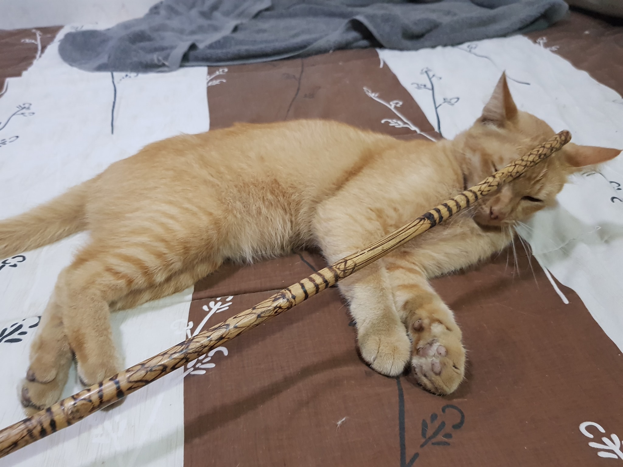 ออกเที่ยวเพลิน เกินนิด อย่าคิดมาก 1