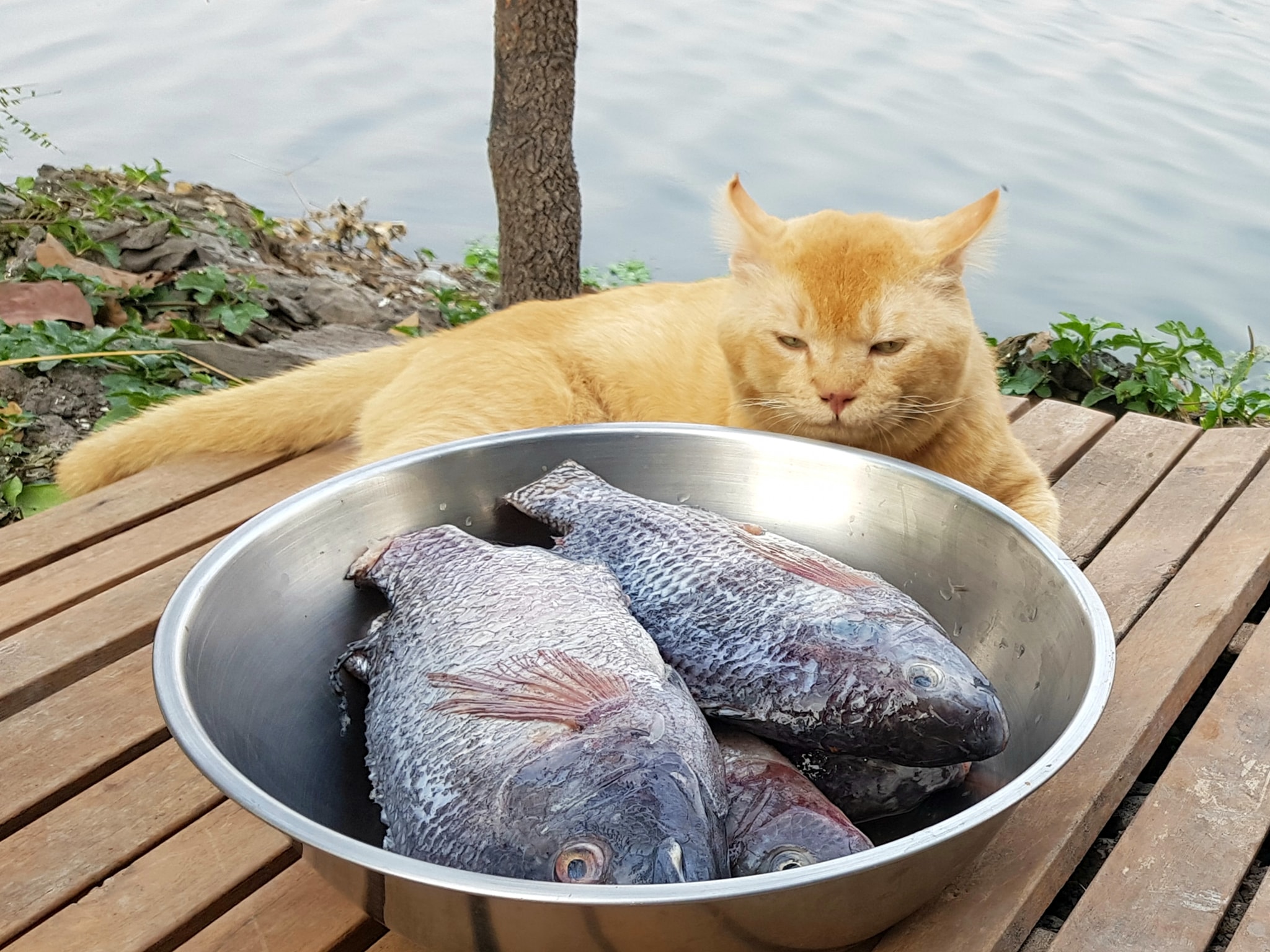 พ่อทองกลับ จับปลา เอามาฝาก 1