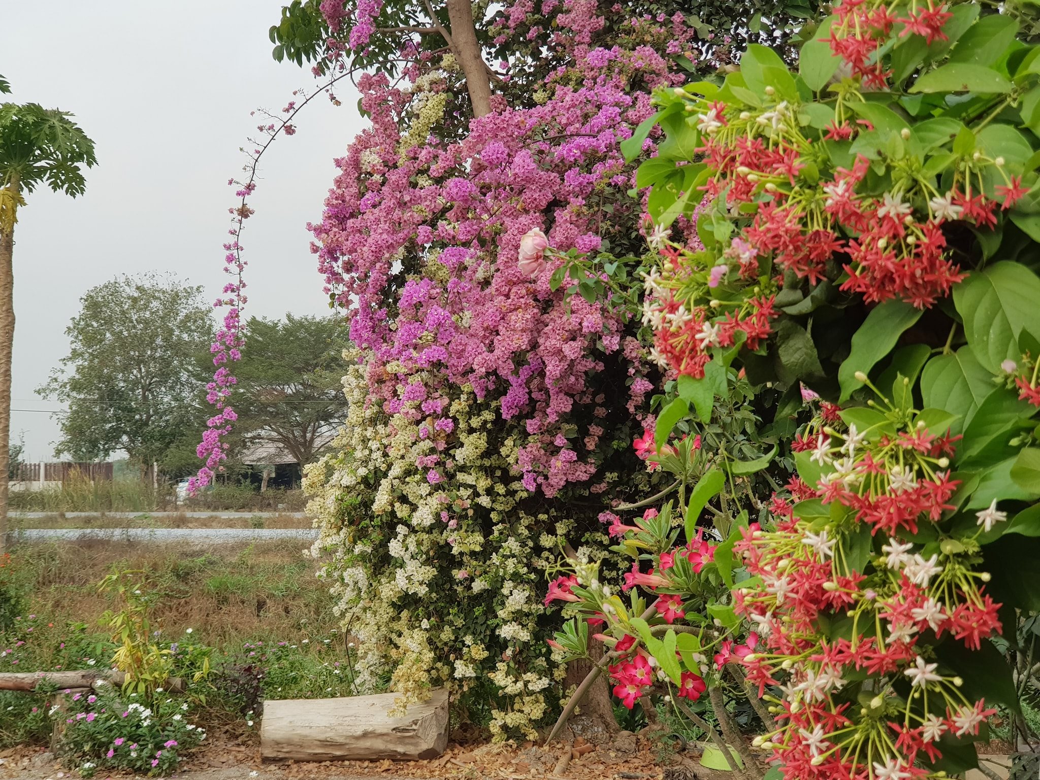 ถ้าพวกเราพูดได้ เราก็อยากขอให้วันนี้เป็นอีกหนึ่งวันที่ไม่เศร้าและมีความสุขกันทุก 4