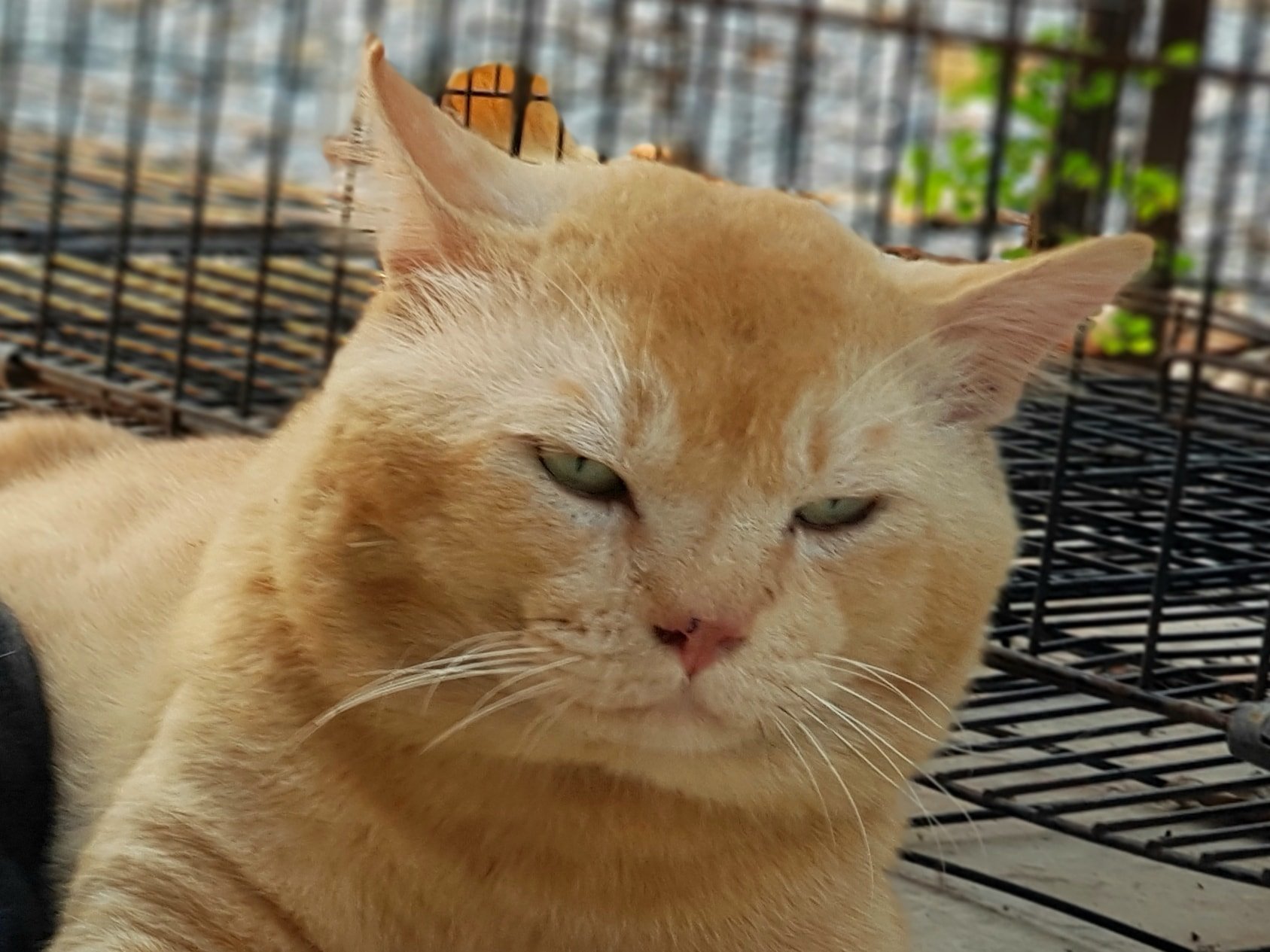 ไม่ได้เพลิน เดินทุ่ง แล้วลุงเบื่อ 1
