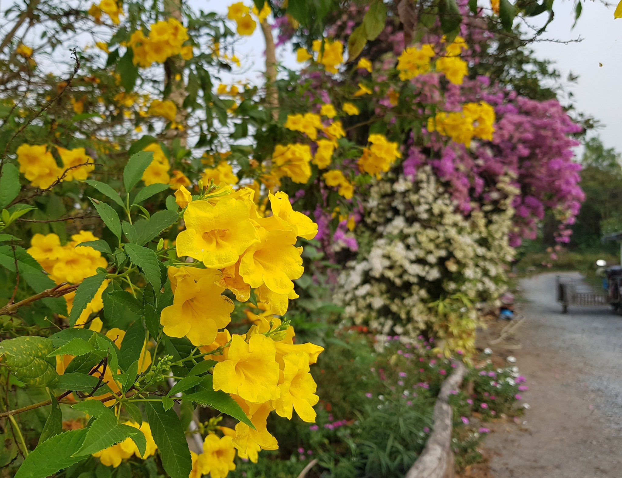 ถ้าพวกเราพูดได้ เราก็อยากขอให้วันนี้เป็นอีกหนึ่งวันที่ไม่เศร้าและมีความสุขกันทุก 3