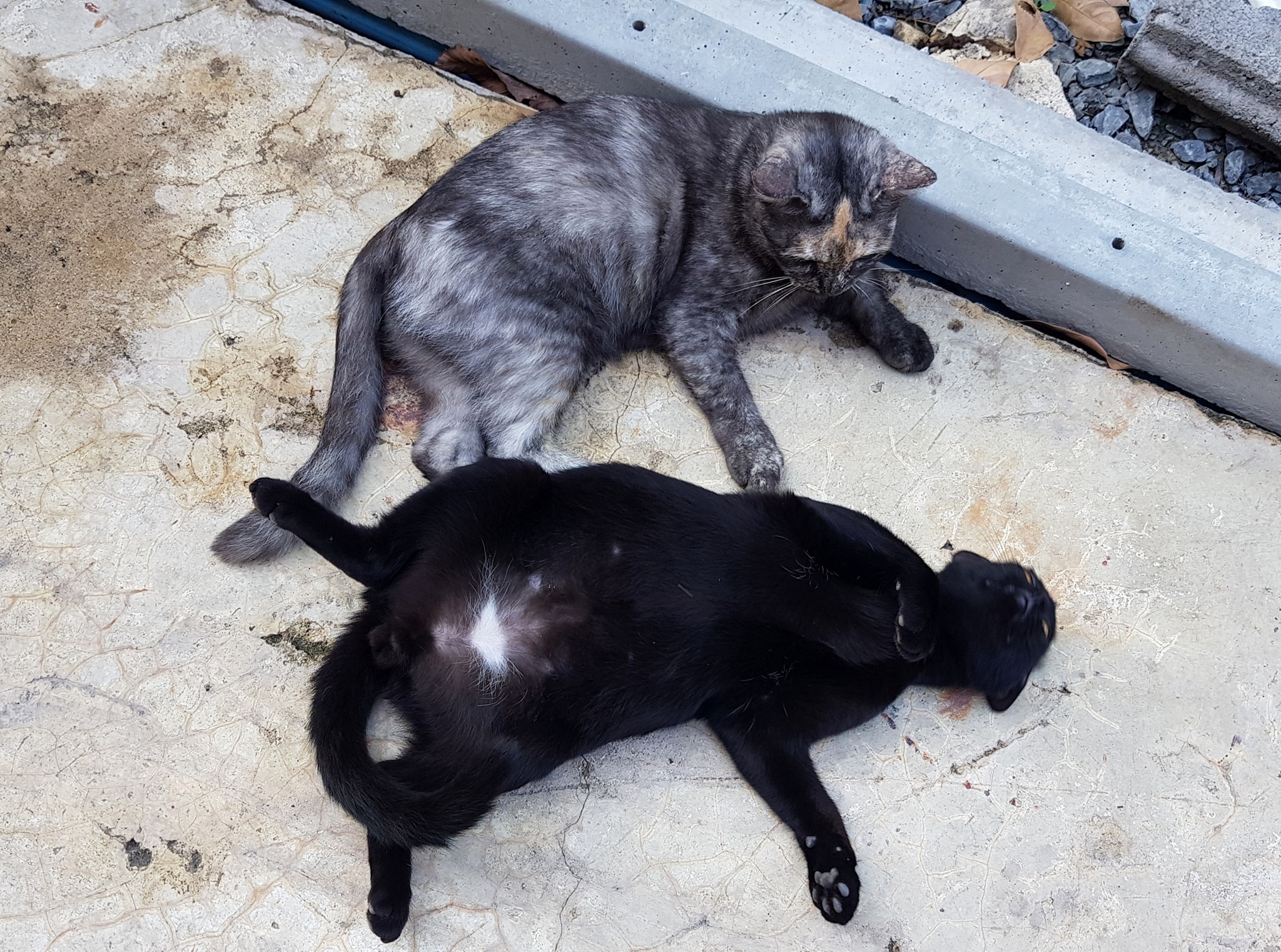 อากาศร้อน นอนต่อ ต้องรอท่า 1