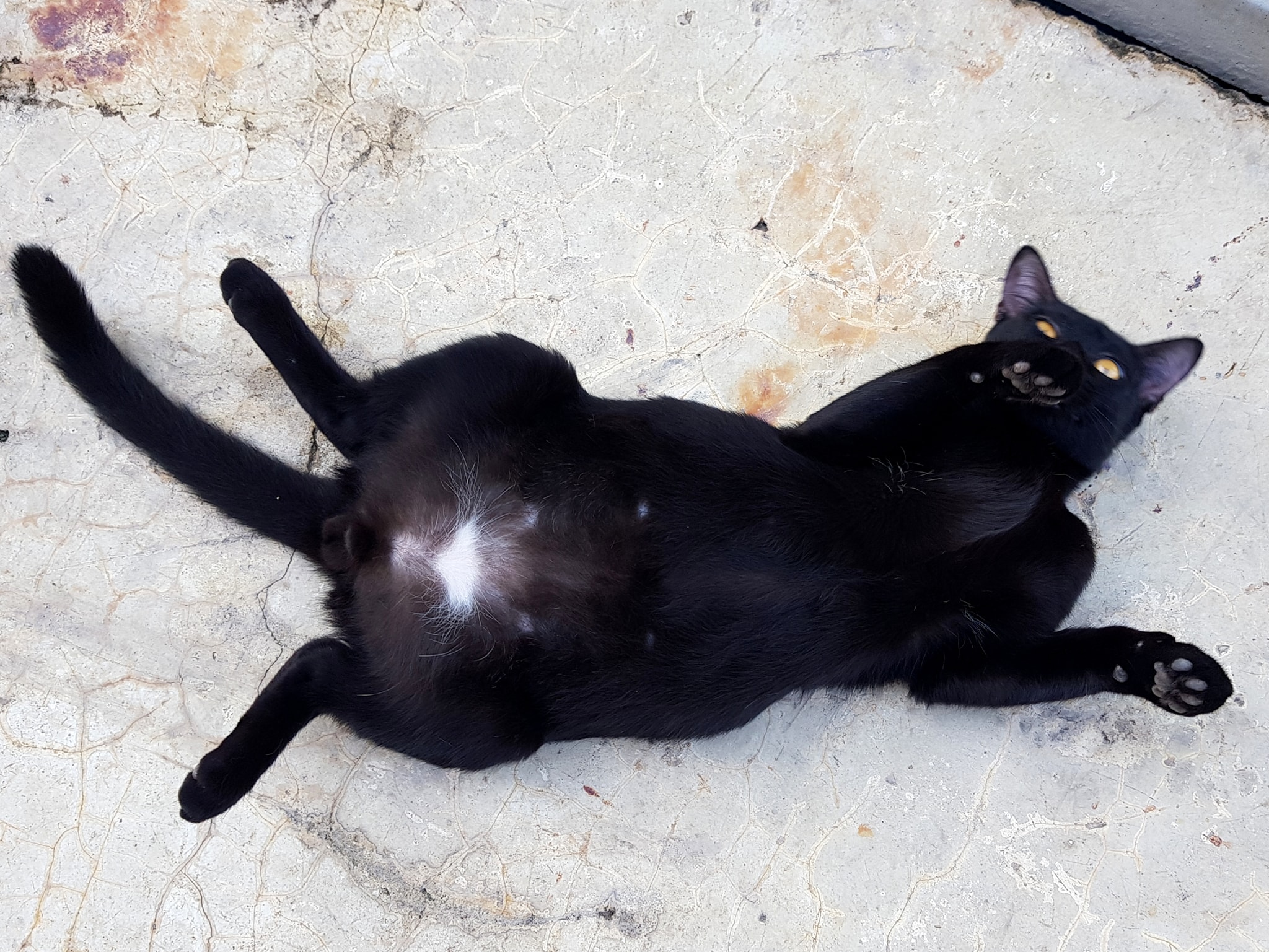 อากาศร้อน นอนต่อ ต้องรอท่า 2