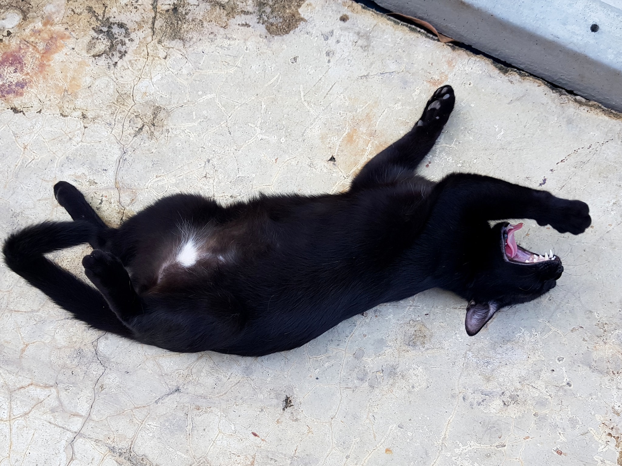 อากาศร้อน นอนต่อ ต้องรอท่า 3