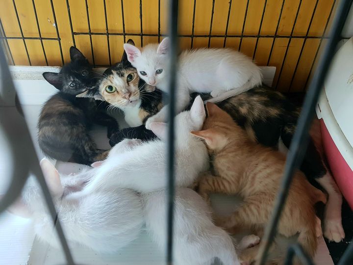 พากันมุด คุดแม่ พอแก้หนาว 1