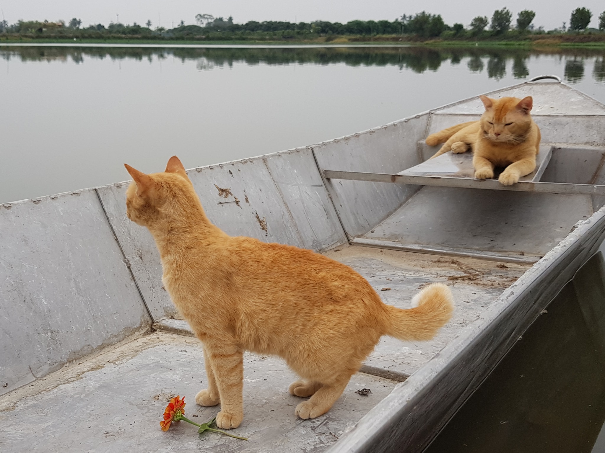 เอาเรือน้อย ลอยลม ไปชมทุ่ง 1