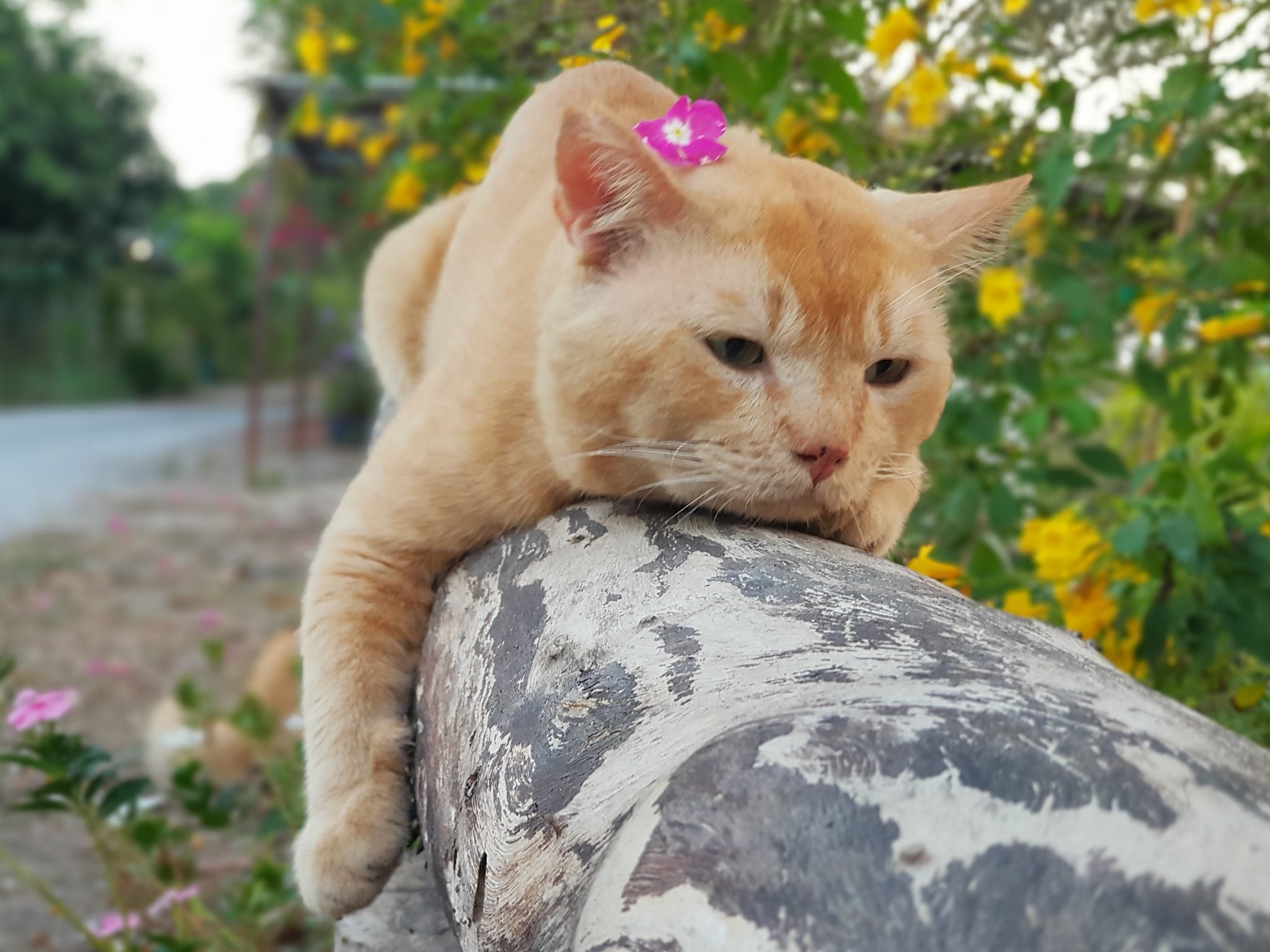 เรียกว่าปู่ ดูที ไม่ดีแน่ 3