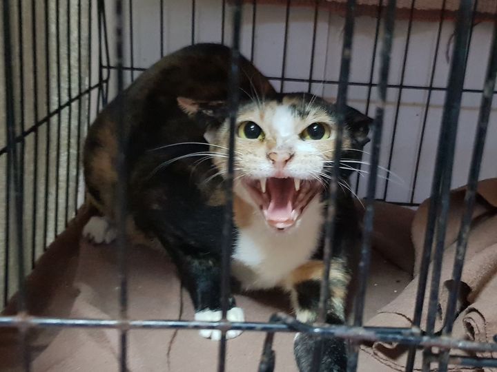 ไม่เห็นยิ้มหวานมาหลายวันแล้ว เจ็ดวันแล้วที่สมศรีจากไป ศรีคงเจอลุงพร้าว ลุงฟ่าง ต 1