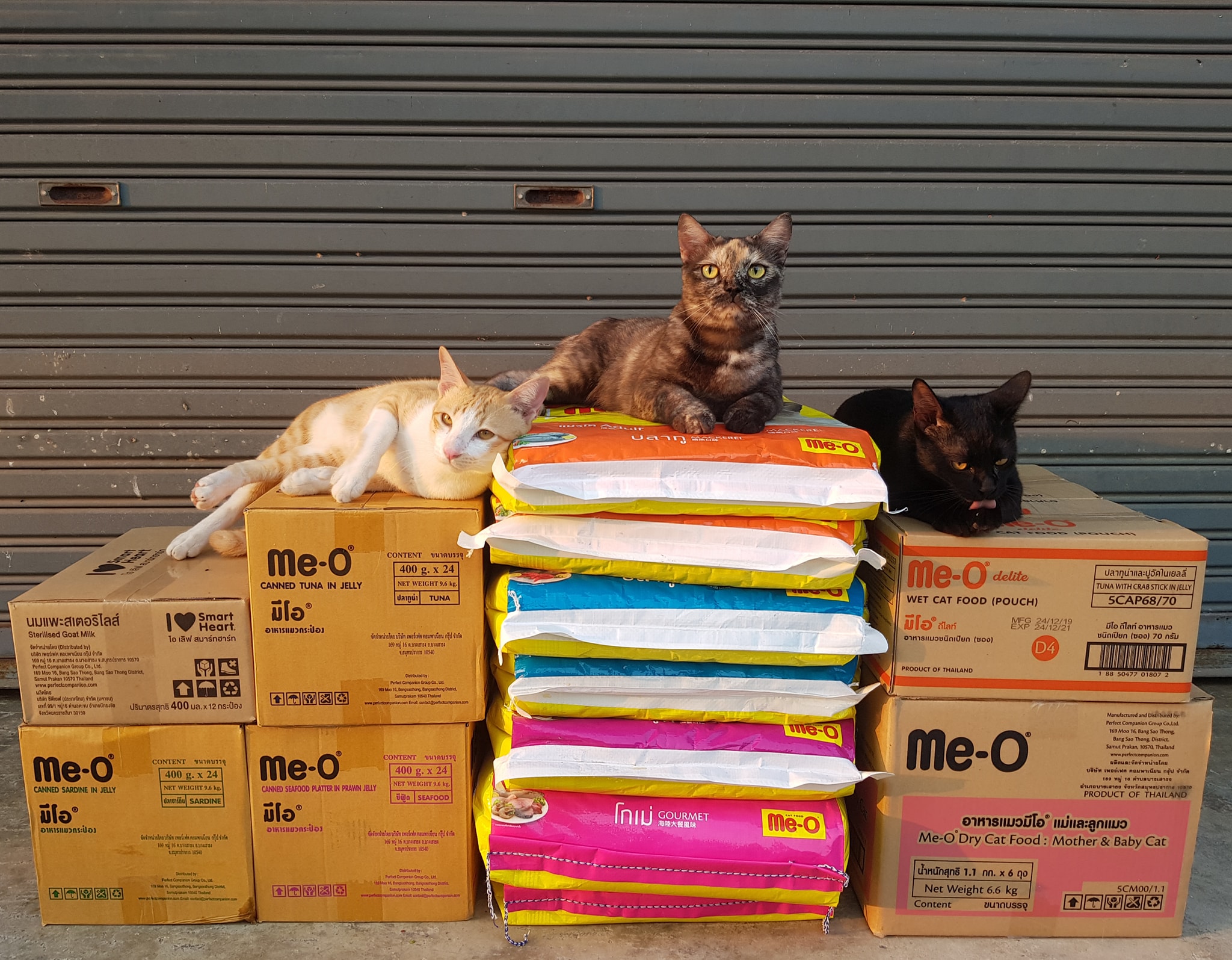 ขอขอบคุณ Me-O มากครับ 1