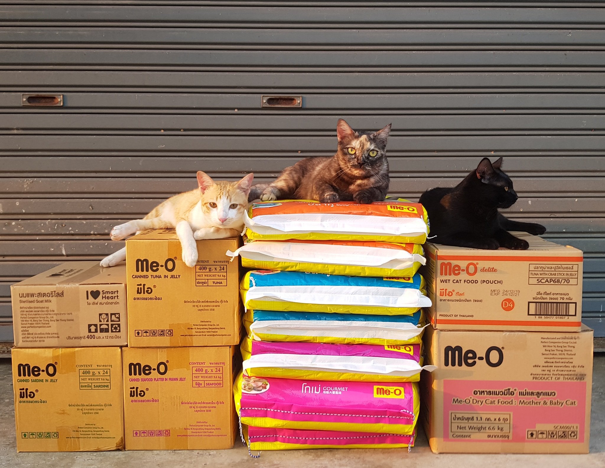 ขอขอบคุณ Me-O มากครับ 2