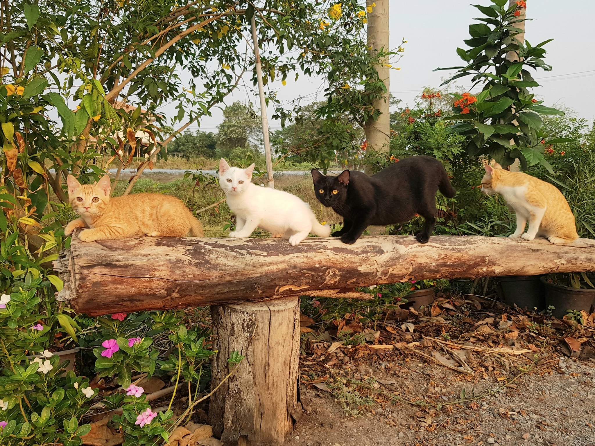 แม่ก็ห่าง ร้างไกล ไปสวรรค์ 3