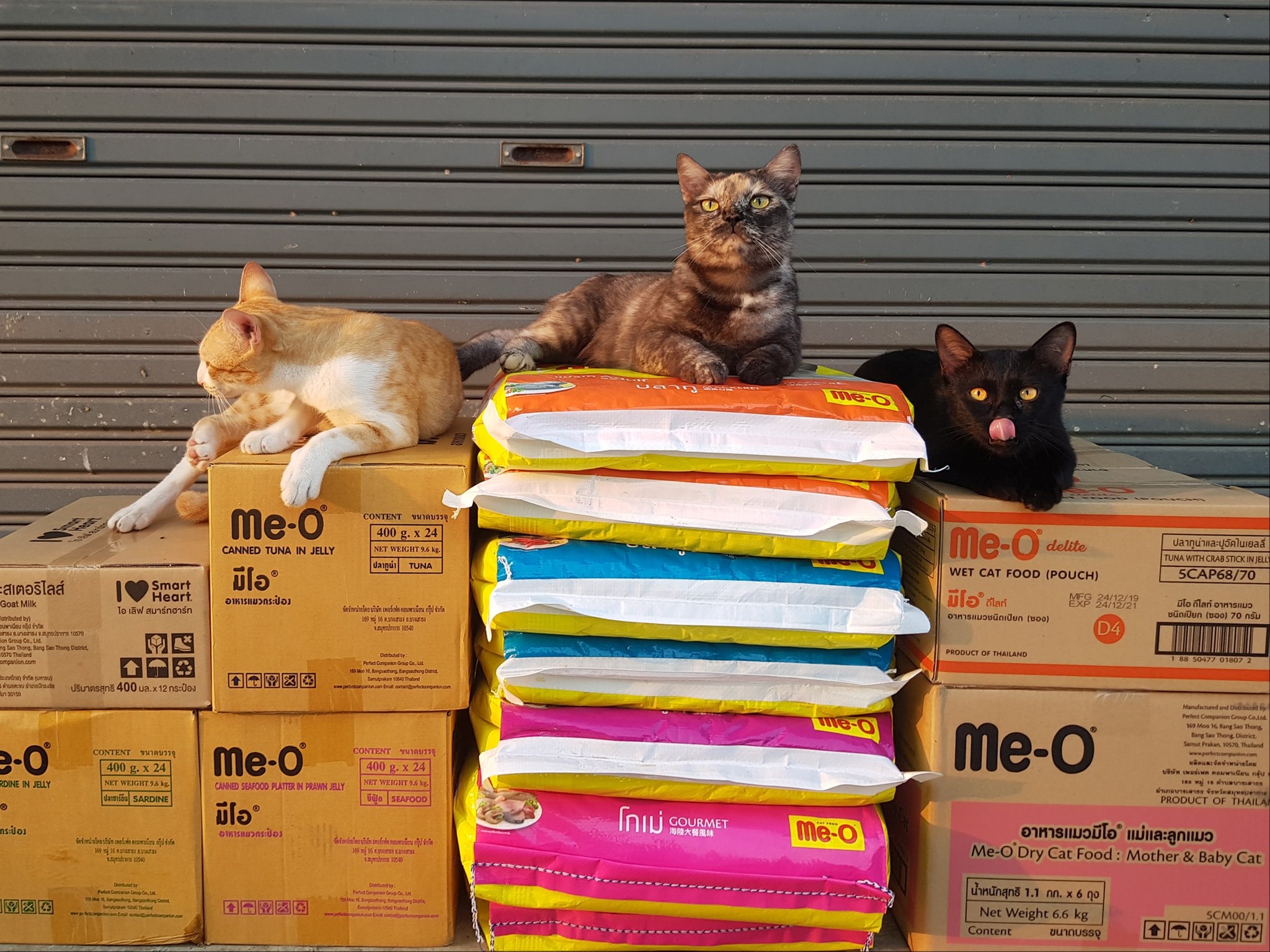 ขอขอบคุณ Me-O มากครับ 3