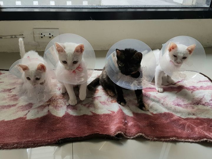 #อัปเดต แก๊งหกสม 1