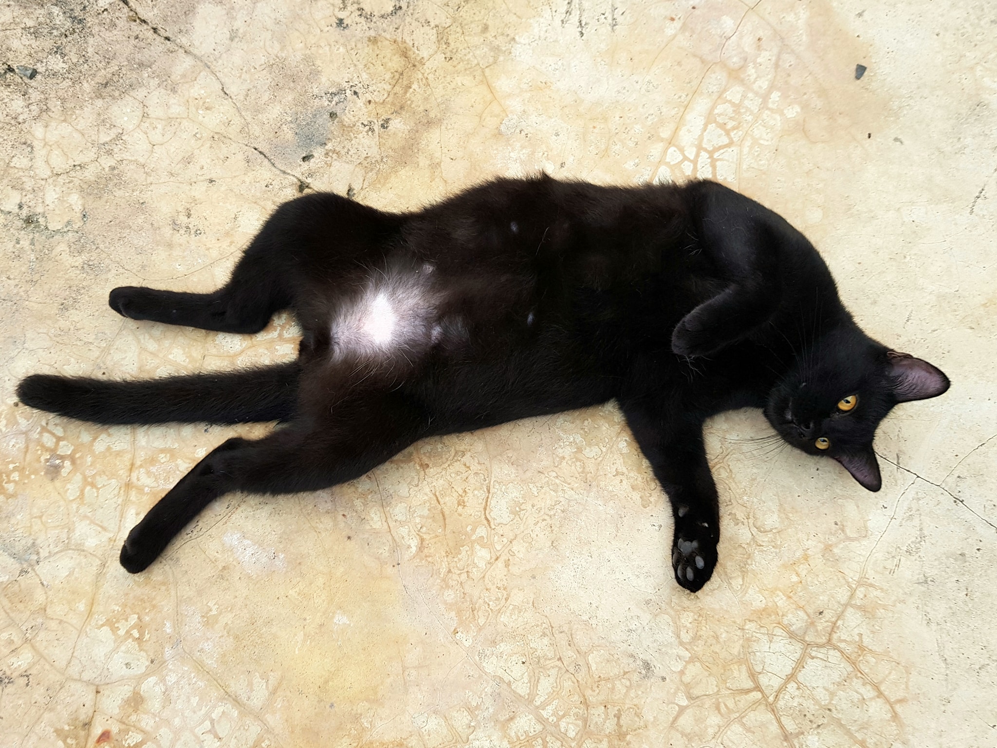 ช่วงกักตัว กลัวภัย อยู่ในบ้าน 1