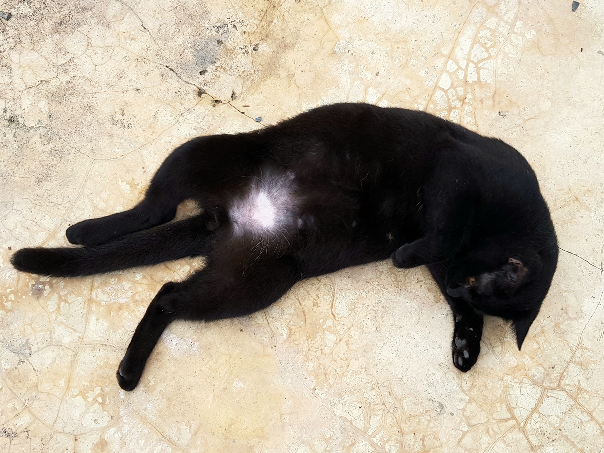 ช่วงกักตัว กลัวภัย อยู่ในบ้าน 2