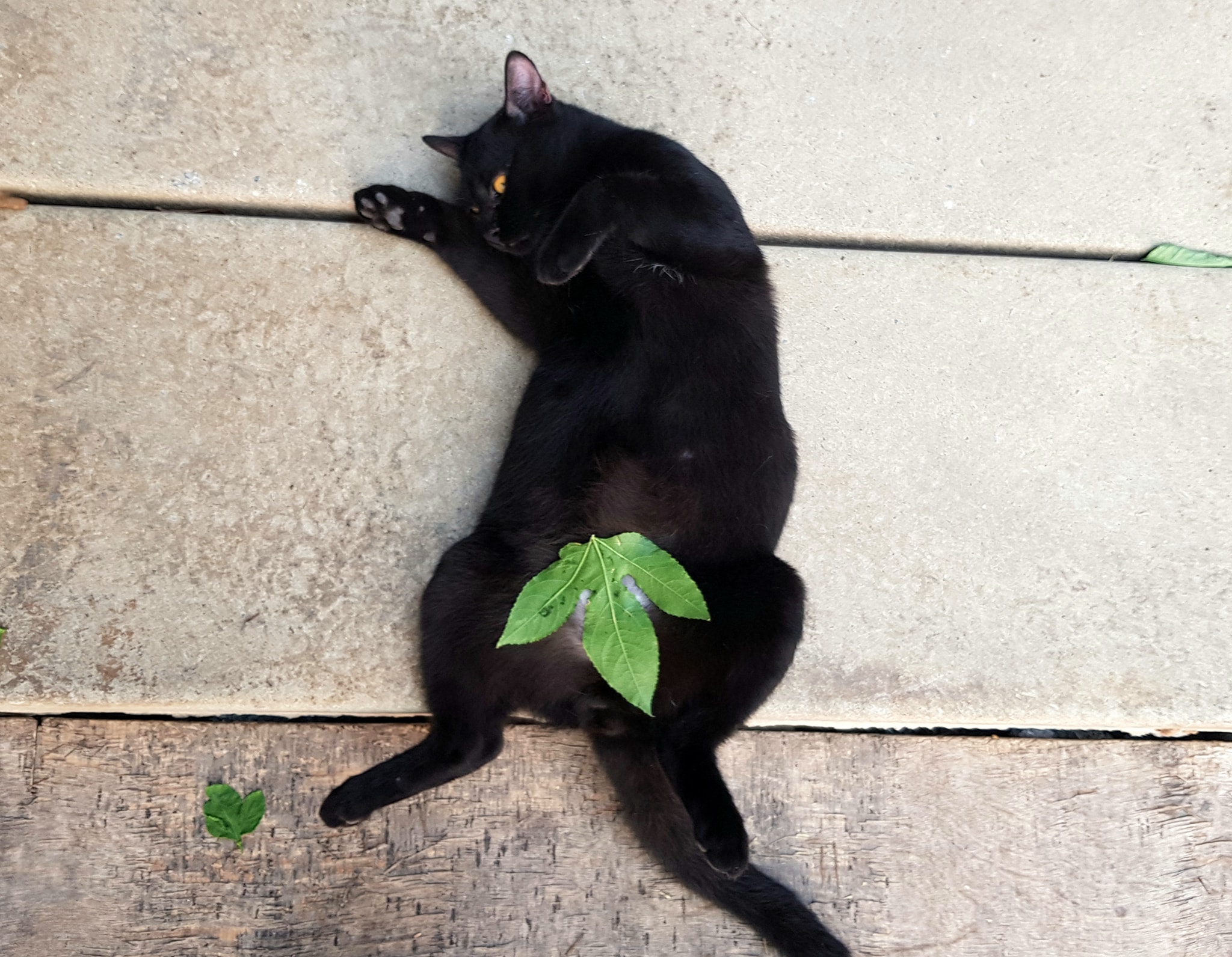 ช่วงกักตัว กลัวภัย อยู่ในบ้าน 4