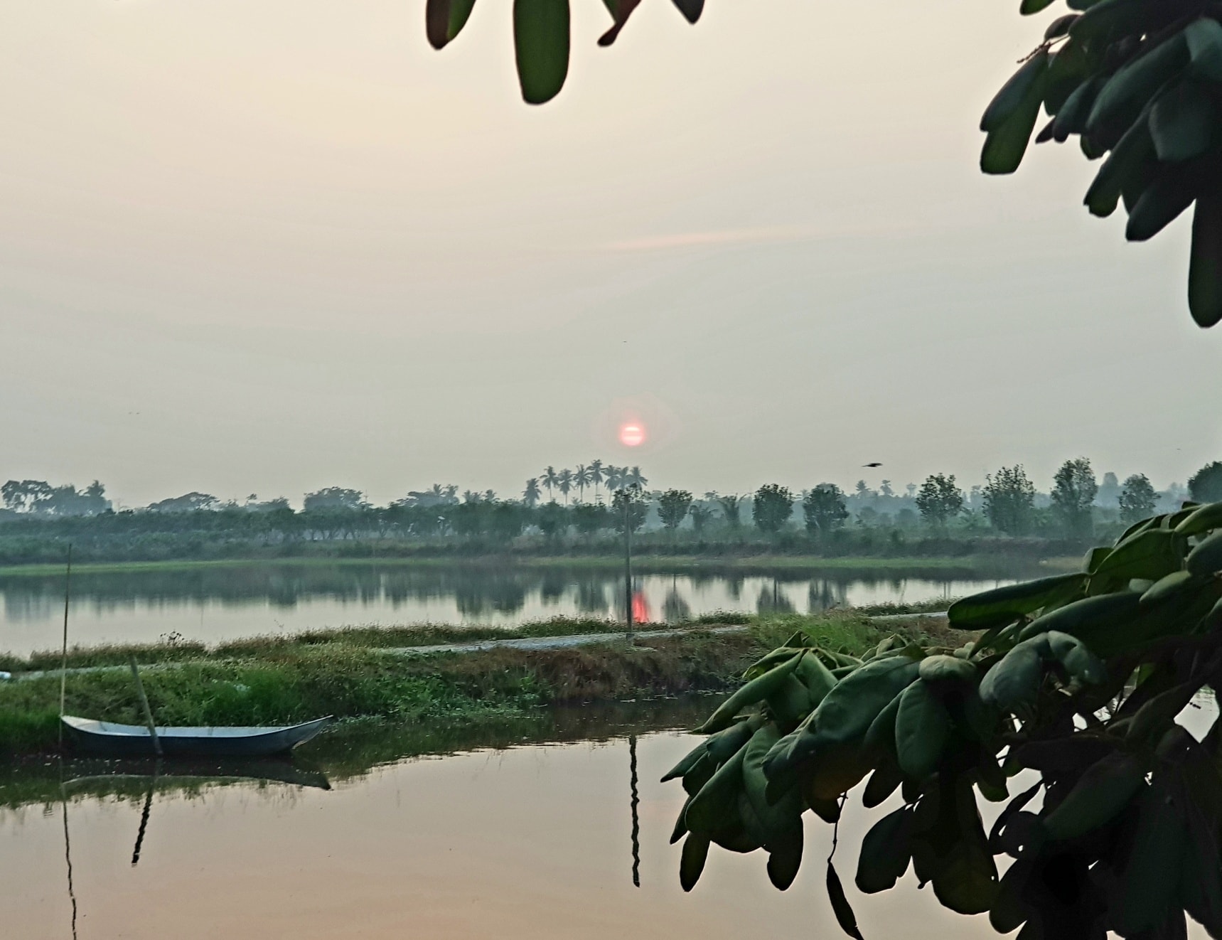 หากับข้าว ชาวทุ่ง มีกุ้งฝอย 1